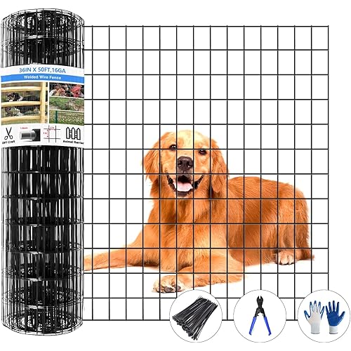 Welded Wire Fence, 50ft(L) x 36inch(H) Garden Fence for Dog, 2 Inch x 3 Inch 16GA Fencing for Chicken, PVC Coated Anti-Rust Roll Metal Wire Mesh Fence for Yard Vegetable, Black