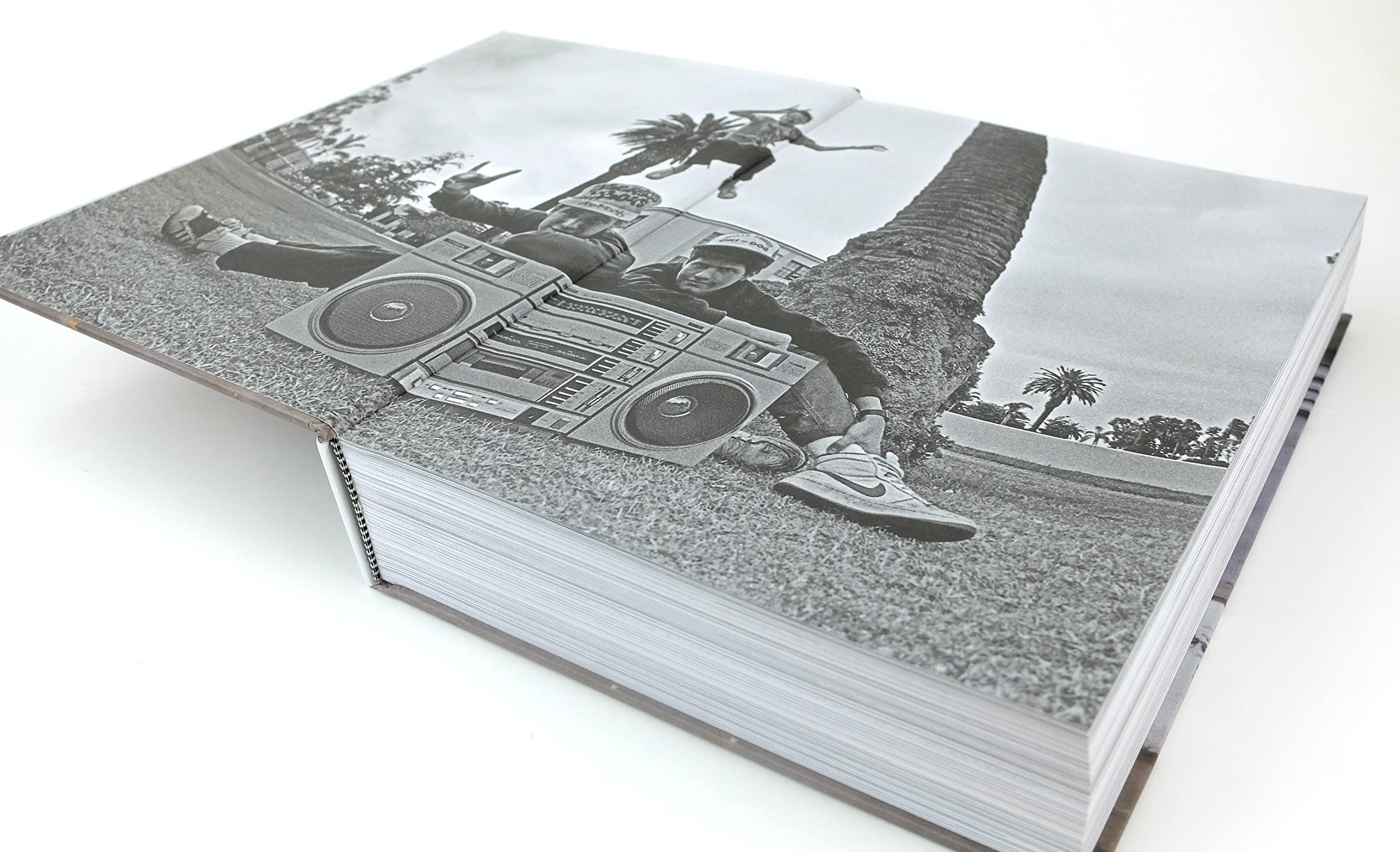 Beastie Boys Buch: Deutsche Ausgabe