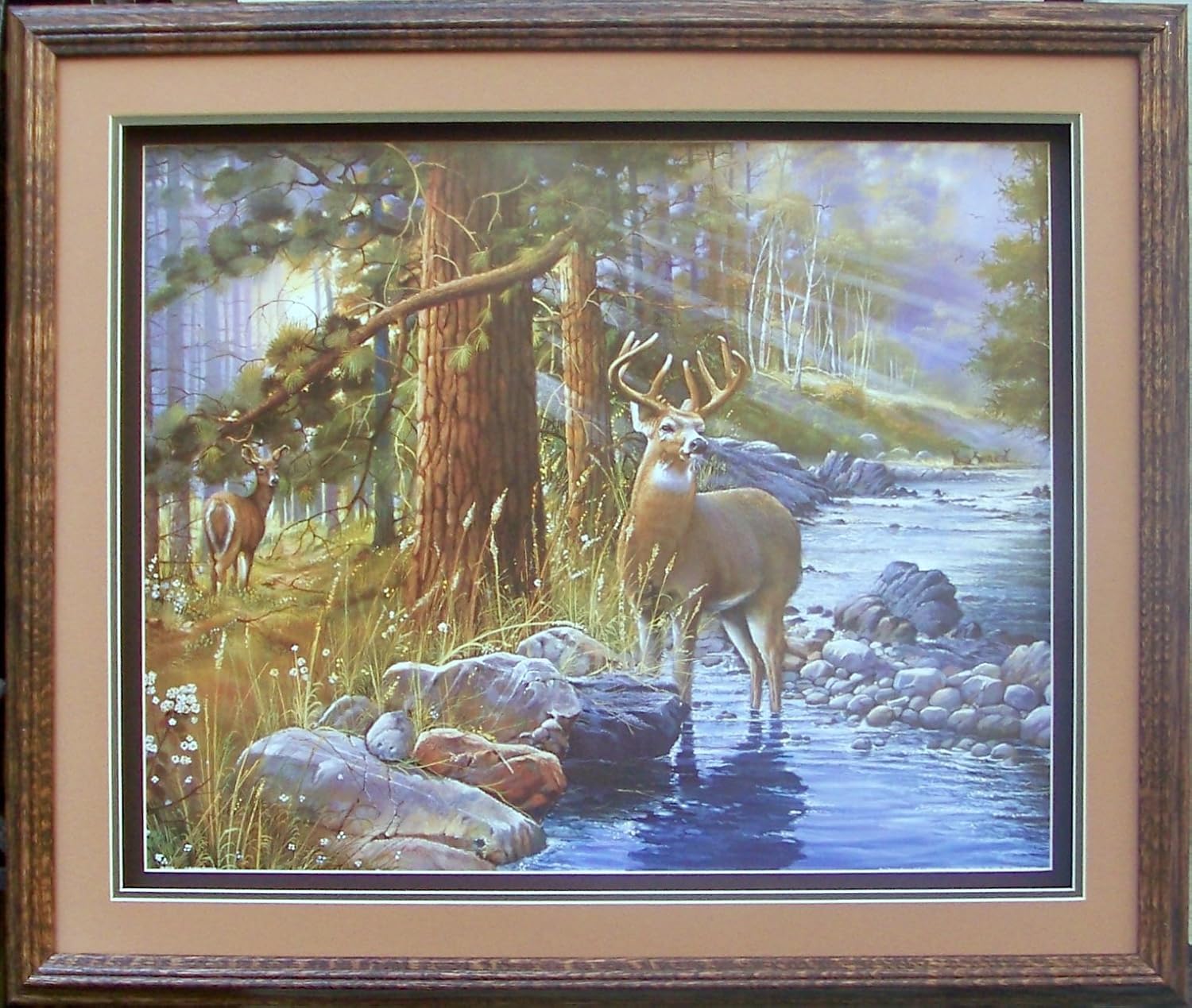 Deer in Woods by Andres Orpinas Paper Tole 3D Decoupage Craft Kit Size 16x20 16-1019
