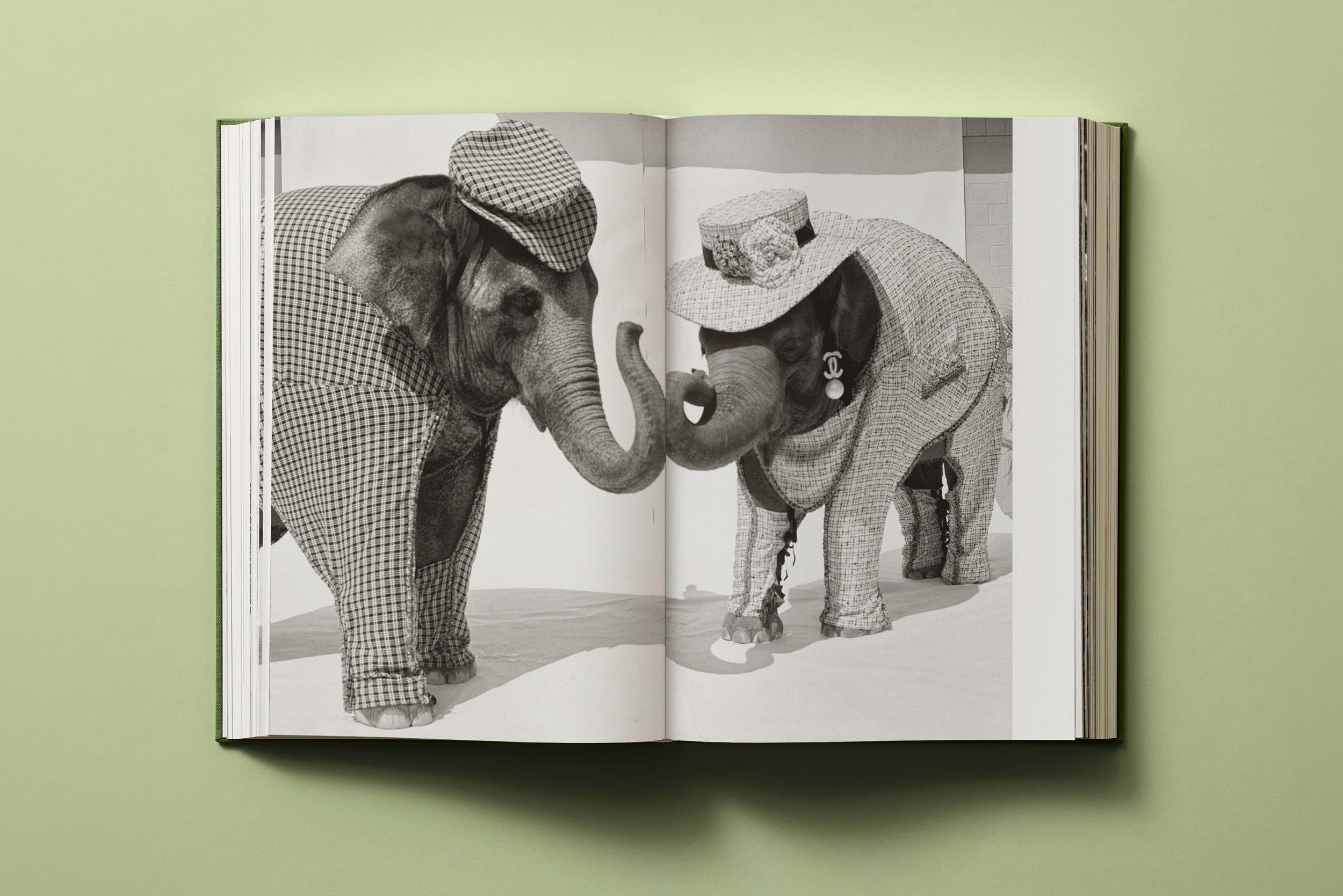 Bruce Weber. My Education (Extra Large)