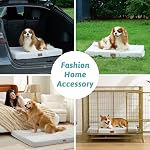 COZY KISS Lit pour chien pour chiens moyens de petite taille, Lits pour chiens rectangulaires orthopédiques, Tapis de fond antidérapant en mousse avec couverture amovible lavable, adapté pour les animaux de compagnie jusqu'à 40 C'est vrai. 30x20x3 de pouce, gris