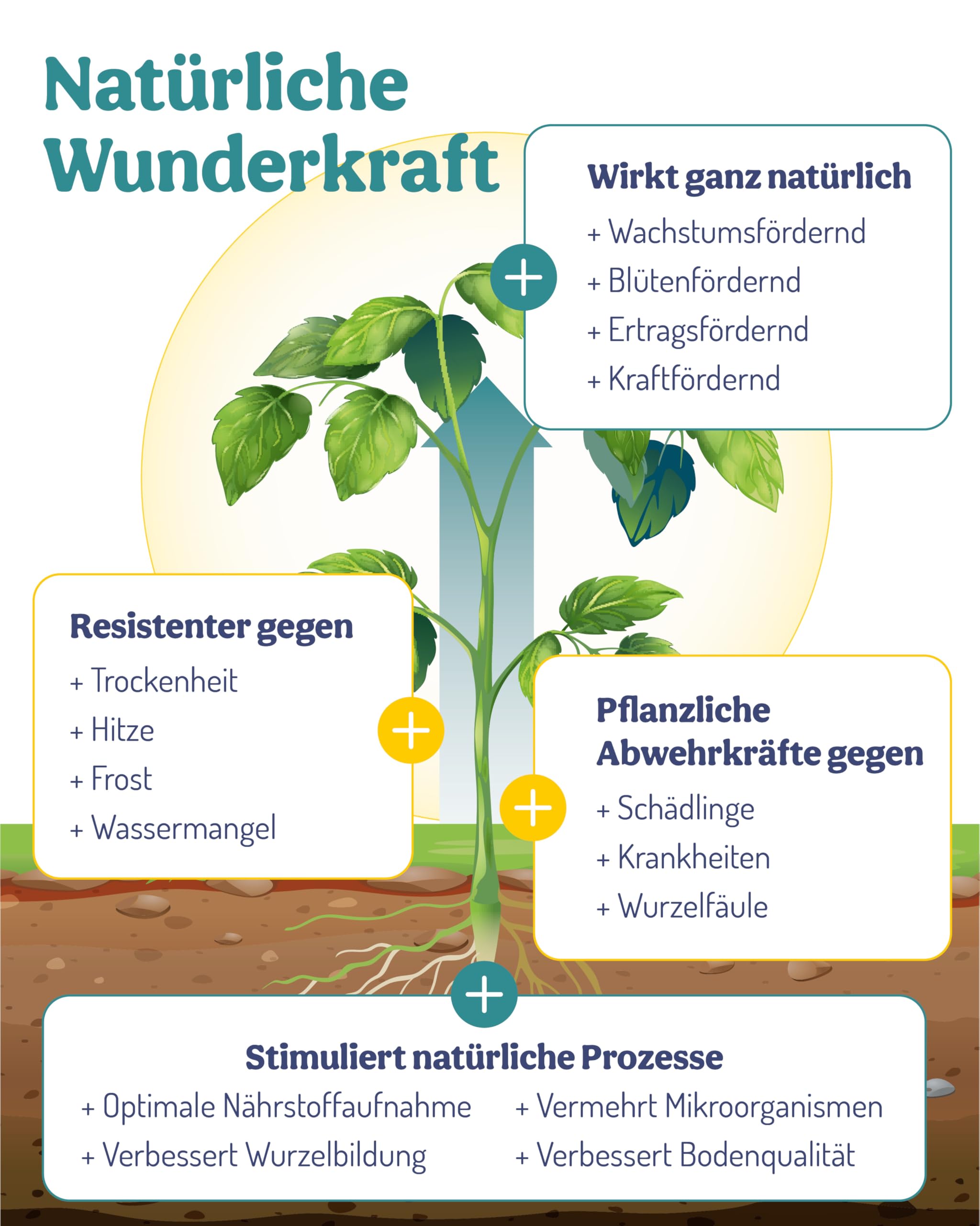 deNatura PflanzenWunder – Natürlicher Pflanzendünger aus Bambus | Bio Bambusextrakt | Pflanzenbooster für Wachstum, Vitalität & Ertrag | Für Gemüse, Obst, Kräuter & Zimmerpflanzen | 500 ml