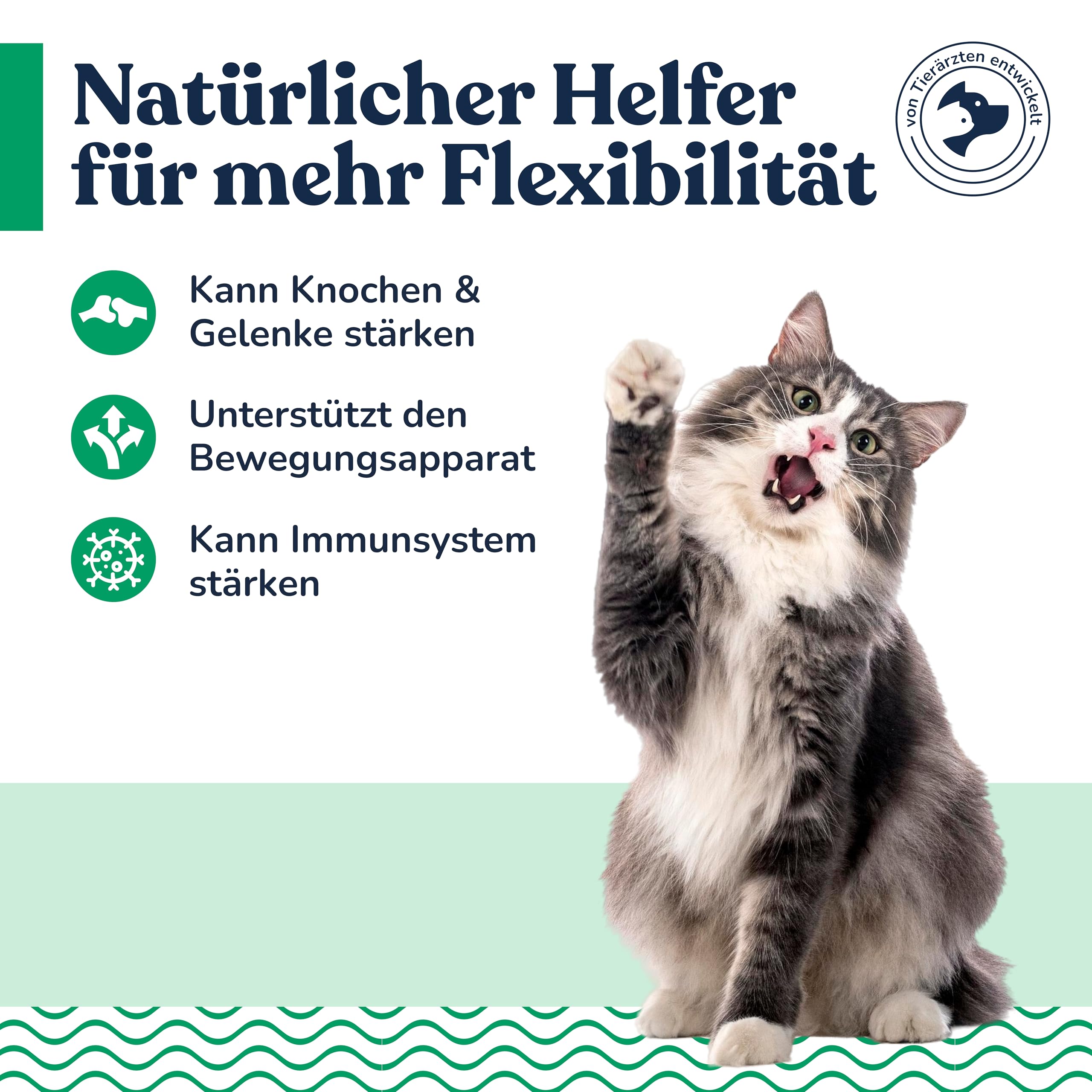felmo La pâte osseuse et articulaire pour chats (100 g) favorise la flexibilité et favorise la liberté de mouvement de votre chat grâce à des composants actifs hautement dosés sans sucre ajouté