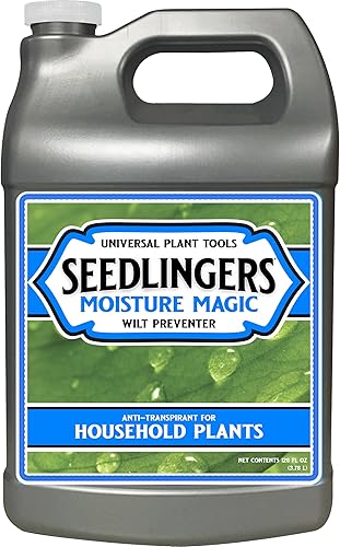 Concentrado de galón