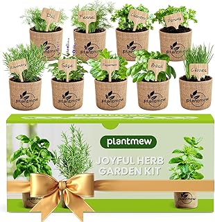 Gift for Women, Mom, Her – 9 Herb Indoor Window Garden Kit | Complete ...