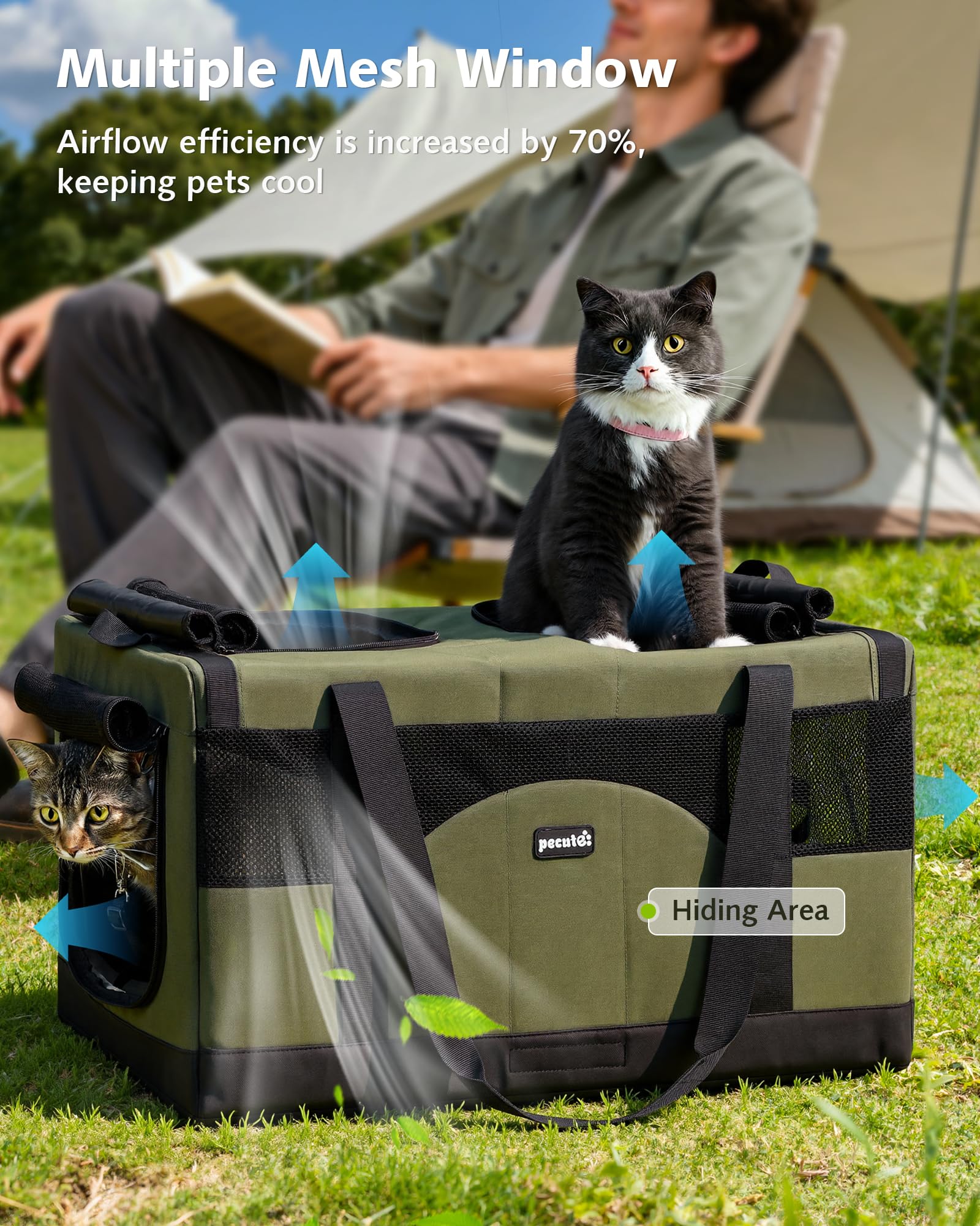 https://m.media-amazon.com/images/I/81RcGT5XIvL.jpg