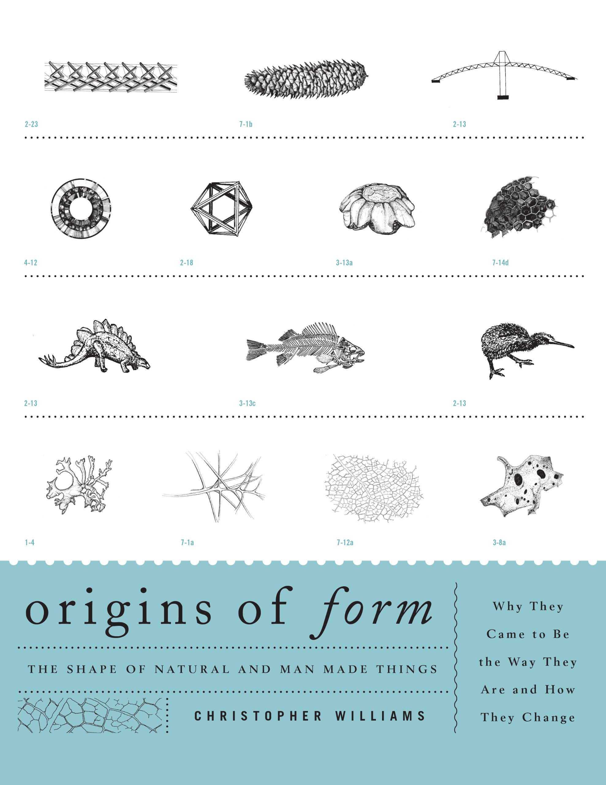 Origins of Form: The Shape of Natural and Man-made Things--Why They Came to Be the Way They Are and How They Change