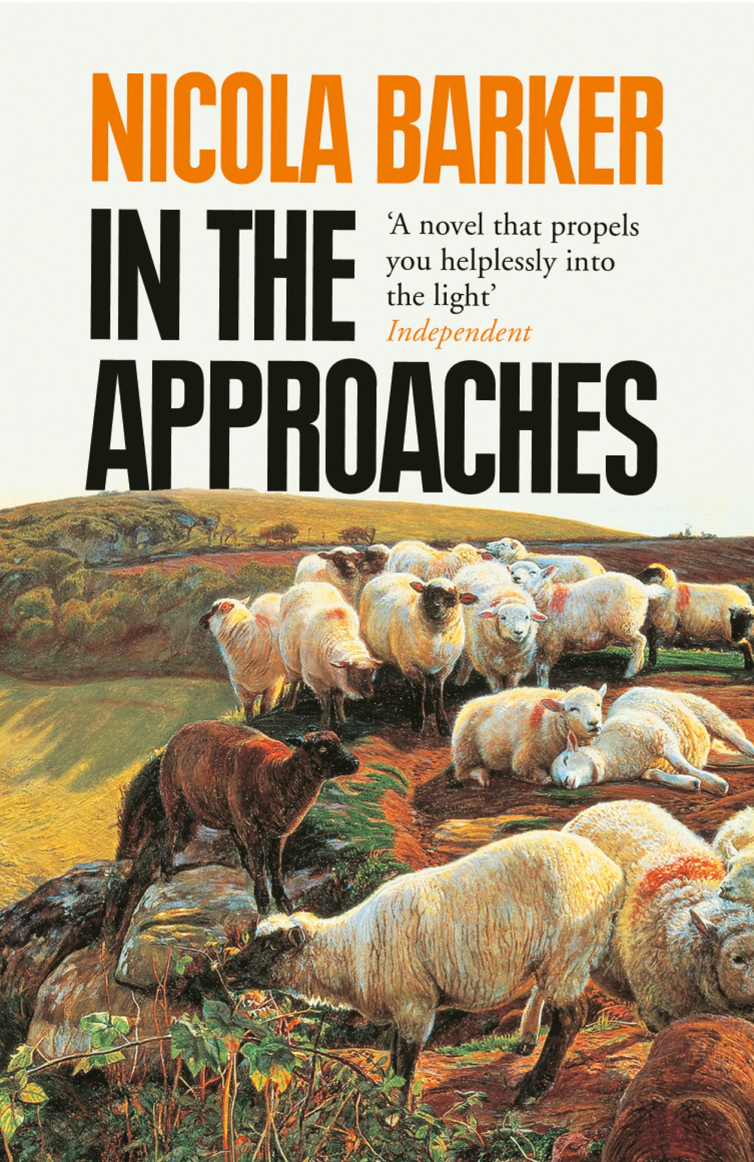 In the Approaches, Contemporary Fiction, Paperback, Nicola Barker
