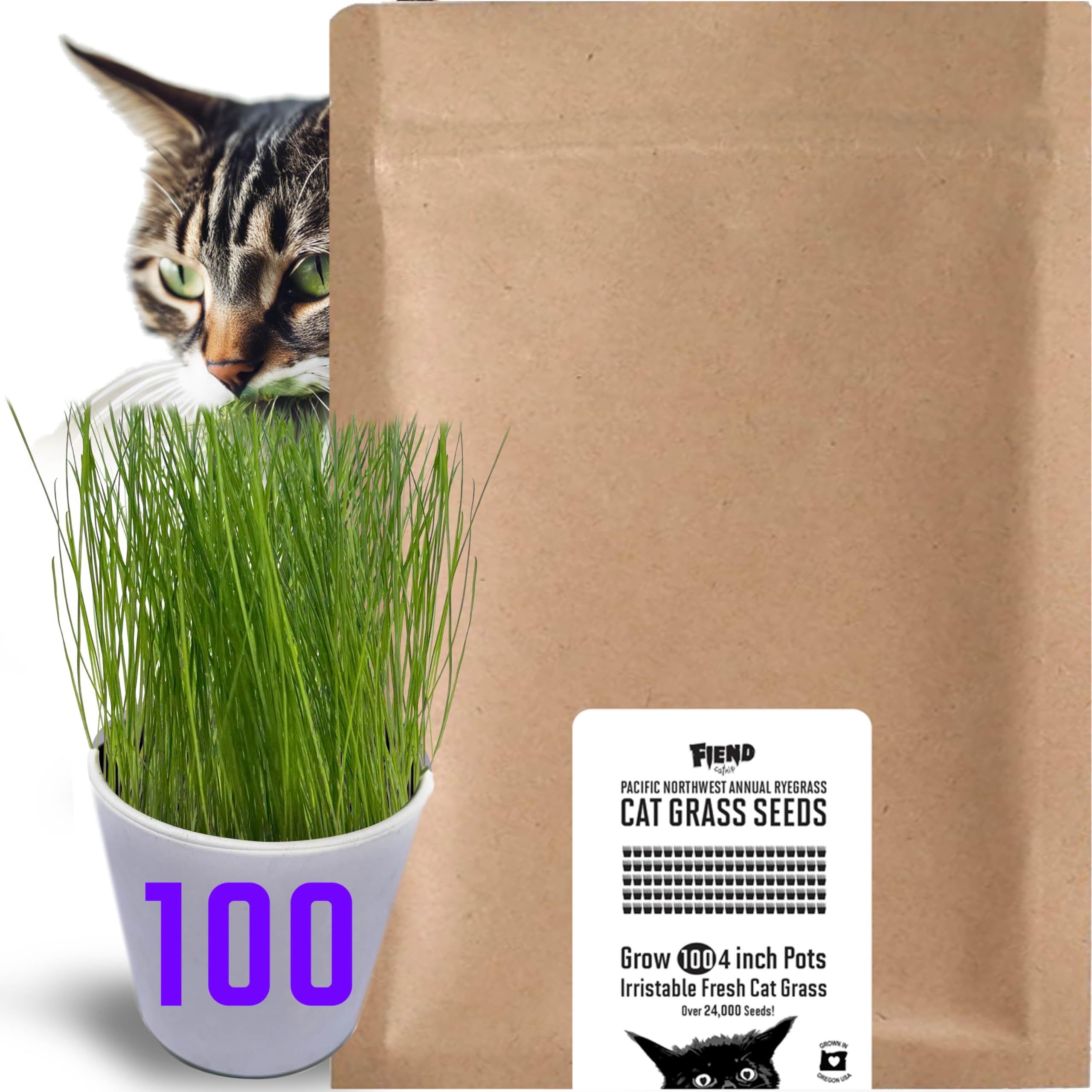 Sponsored Ad - Cat Grass Seed Wild Non-GMO Pure Wild Native Annual Ryegrass Grows 100 Pots (Over 1250 Sq in) Ready in 6 Days Sprouts Fast (Just Packaged) Vets Love for Indoor Cats + Zero additives–33,333+ Seeds
