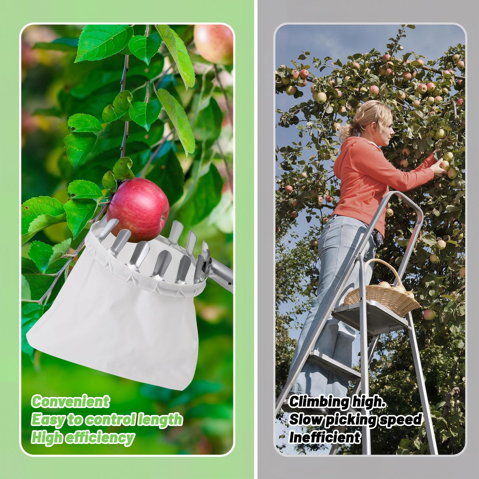 seOSTO Raccogli Frutta con Manico telescopico, 4,2 m, per Ciliegie, Diametro 16 cm, raccogli Mele, con Sacchetto di Cotone, raccogli Ciliegie, prugne per Reaching Inaccessible Places in Fruit Trees