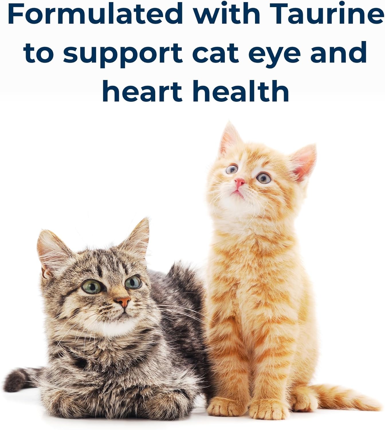 Pet-Ag Cat-Sip Real Milk Treat - 8 oz, 12 Pack - Ready-to-Feed Snack for Cats & Kittens - Easy to Digest with 99% Lactose-Free, Low-Fat Grade A Milk - Encourages Hydration - Promotes Eye, Heart Health