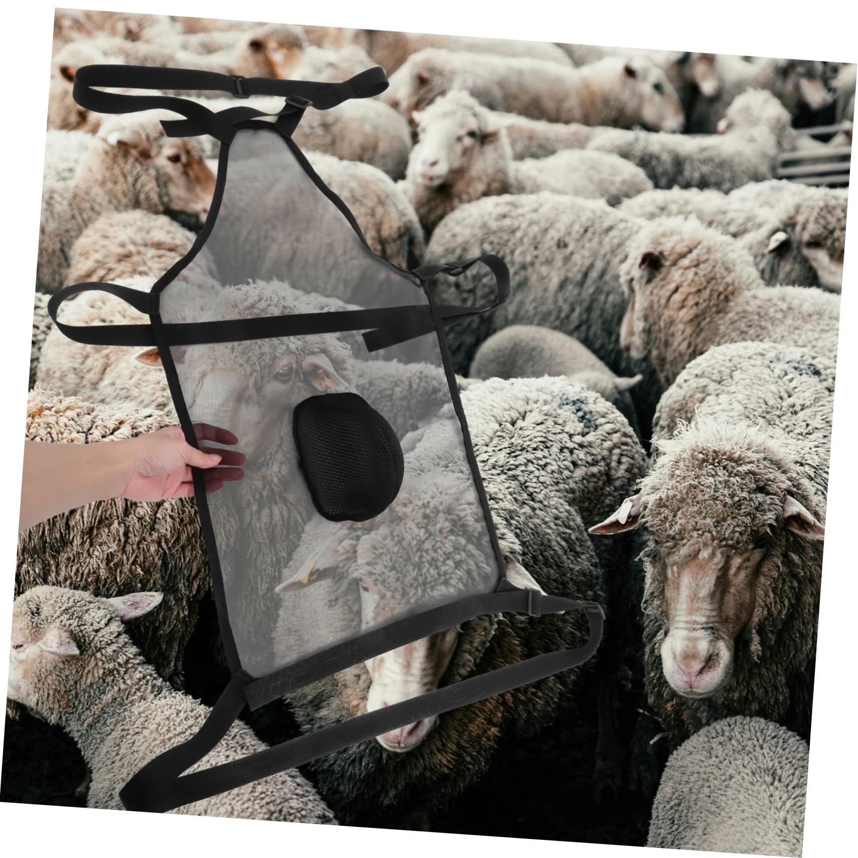 Toyvian Tablier de Contrôle Reproduction pour Moutons et Chèvres en Tissu Mesh Respirant avec Sangle Réglable Noir pour Éleveurs de Bétail