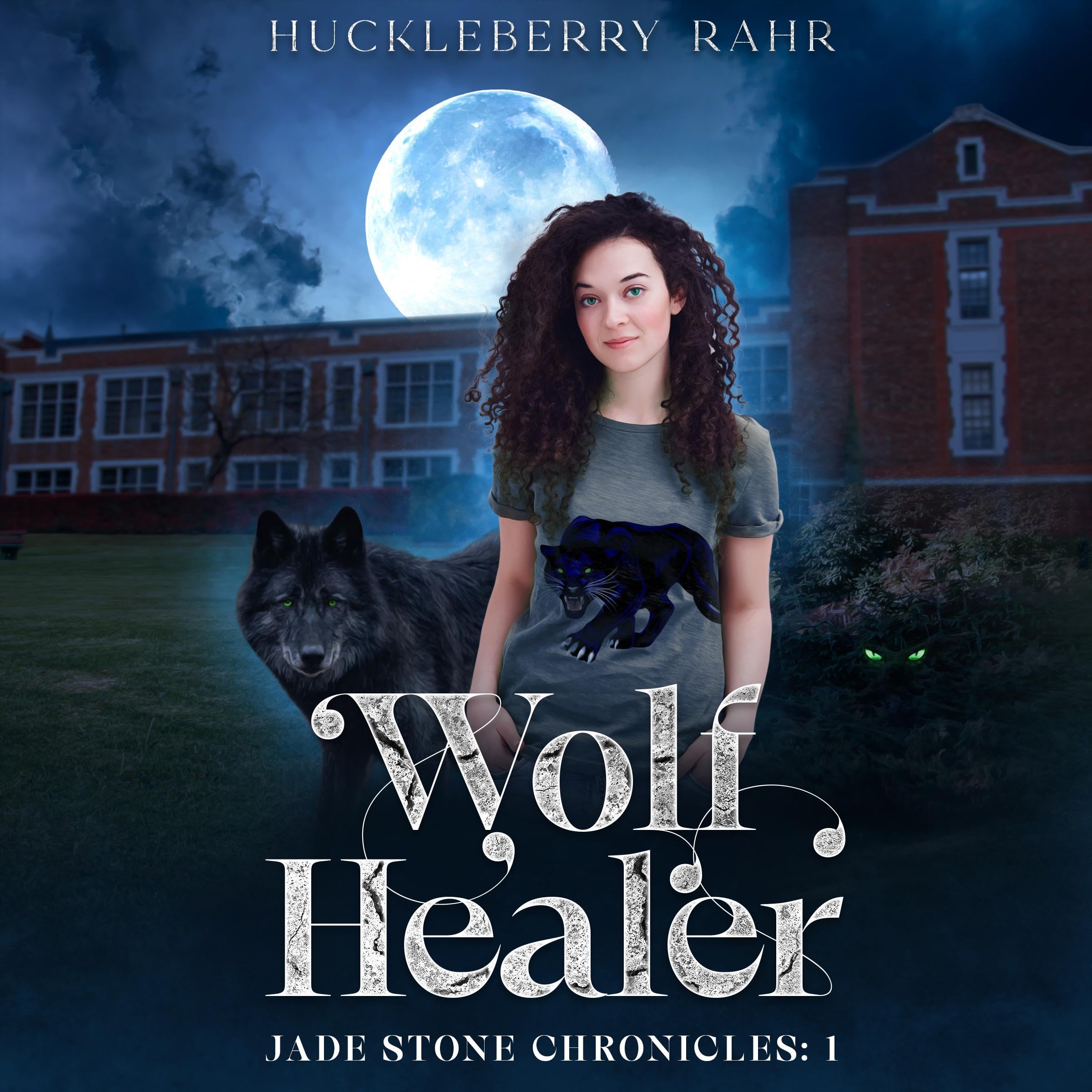 Cover art for Wolf Healer