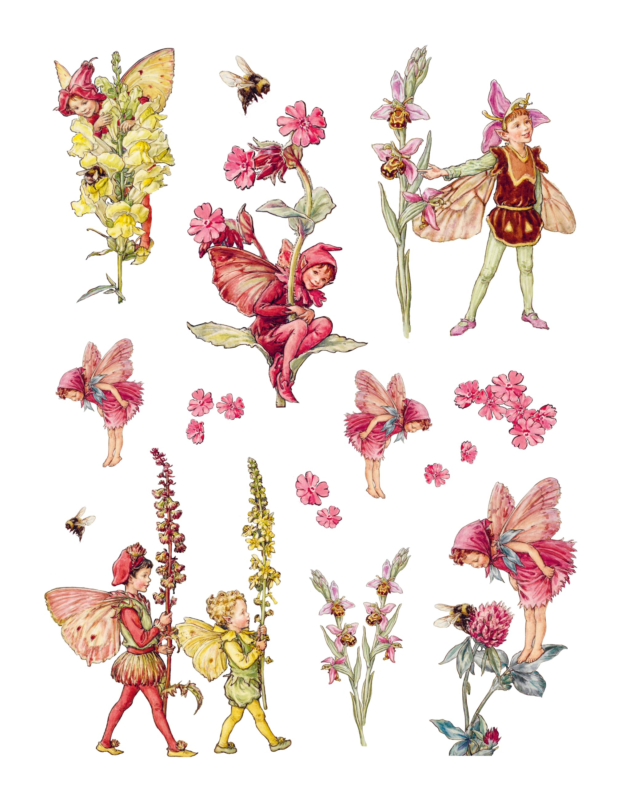 Cut Out and Collage Flower Fairies: Cut Out and Keep Flower Fairies for Arts and Craft