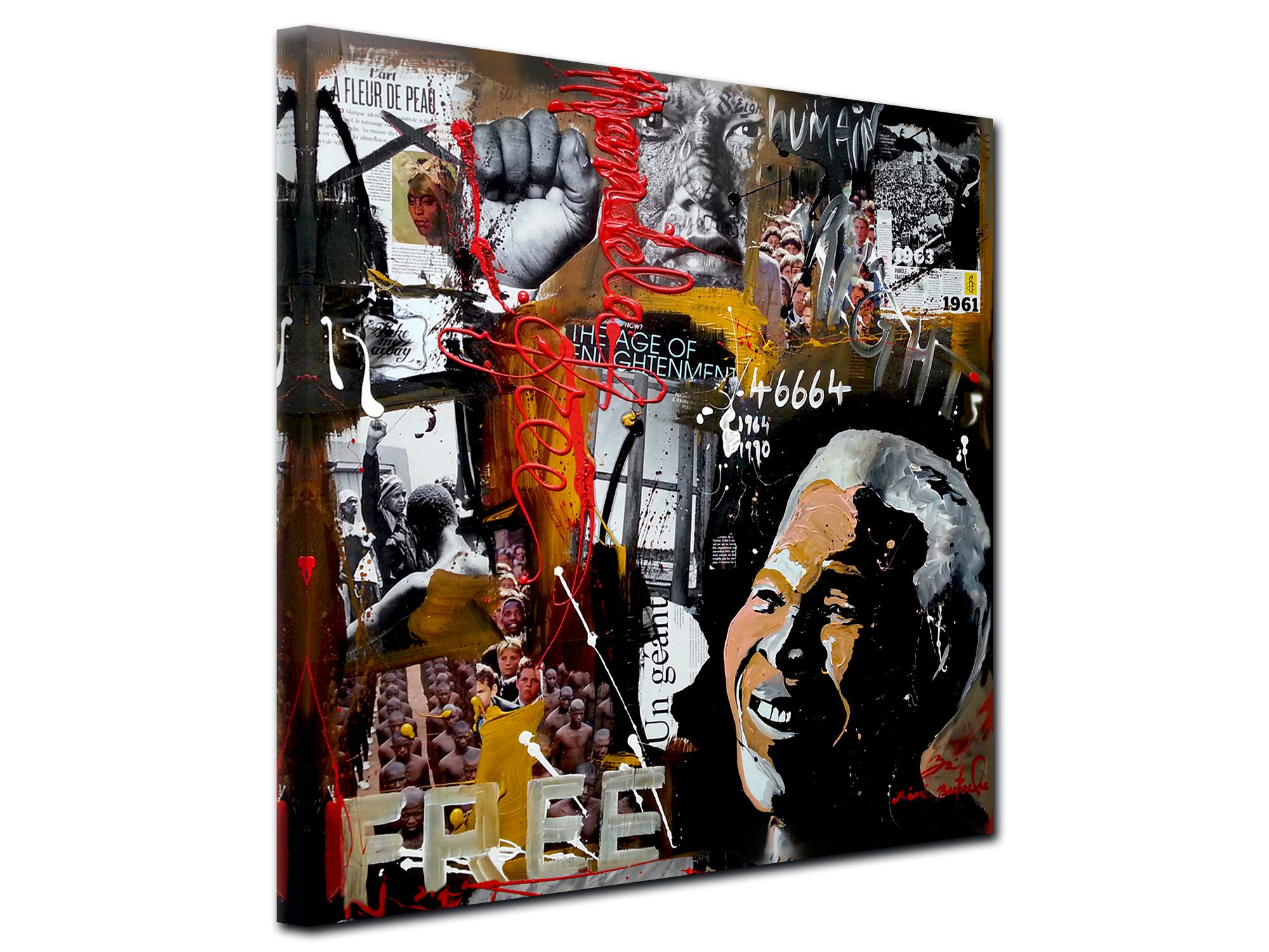 DECLINA, Quadro Decorativo da Parete per Soggiorno Moderno, Quadro Decorativo da Parete, Quadro Humanright di Rémi Bertoche, Riproduzione su Tela, 50 x 50 cm