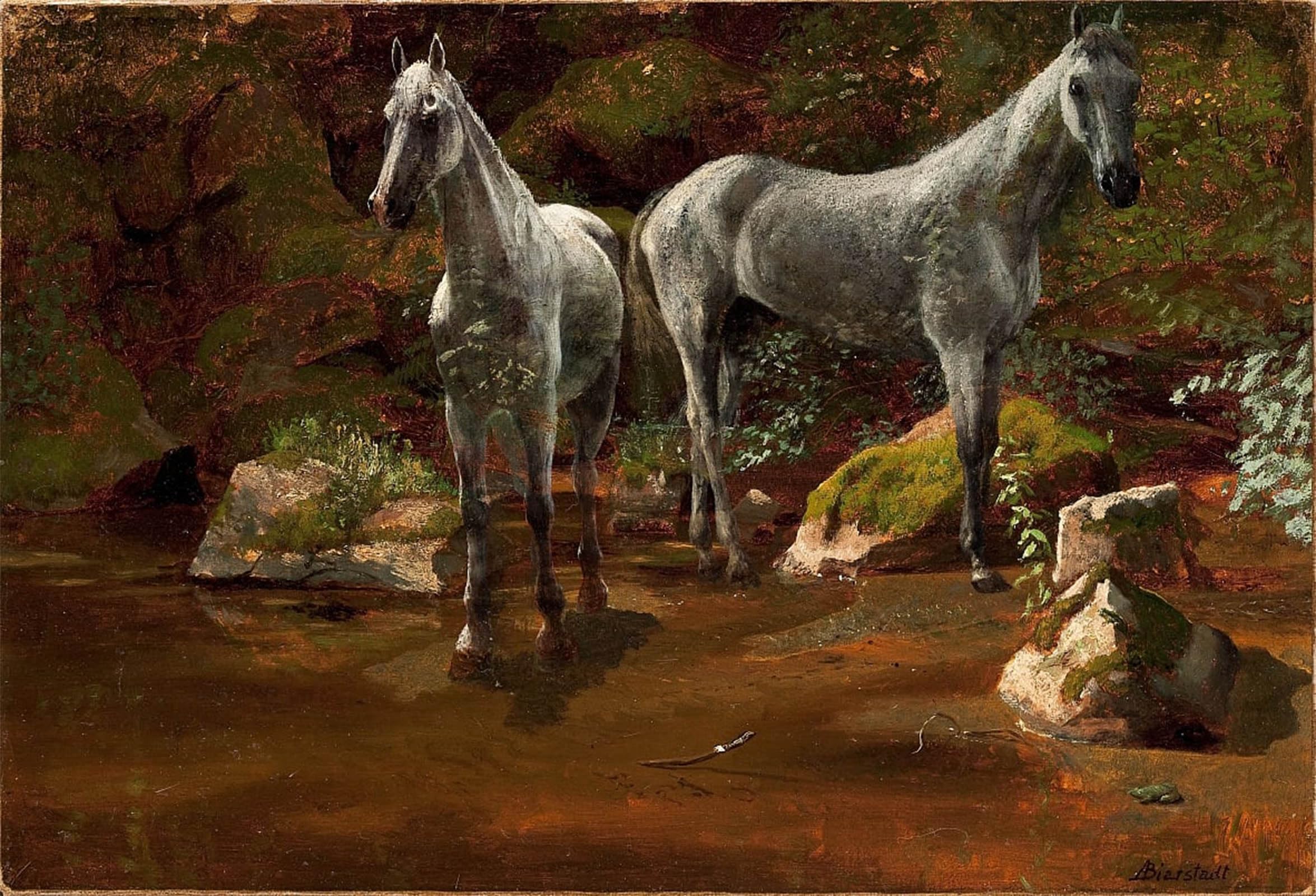 Cuadro de caballos salvajes de Albert Bierstadt, la libertad en tu hogar 5
