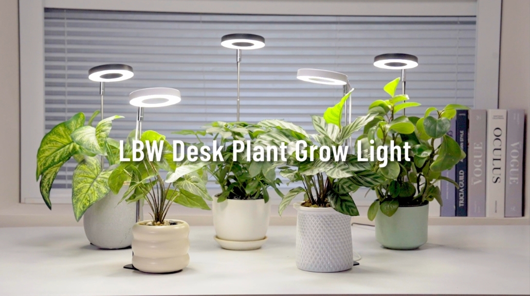 Image of LBW Grow Light for Indoor Plants, Height Adjustable Plant Grow Lamp with Auto On /Off Timer 6 /8 /12 /16H, 3 Colors,5 Dimmable Brightness, for Small Plants, White, 2 Packs