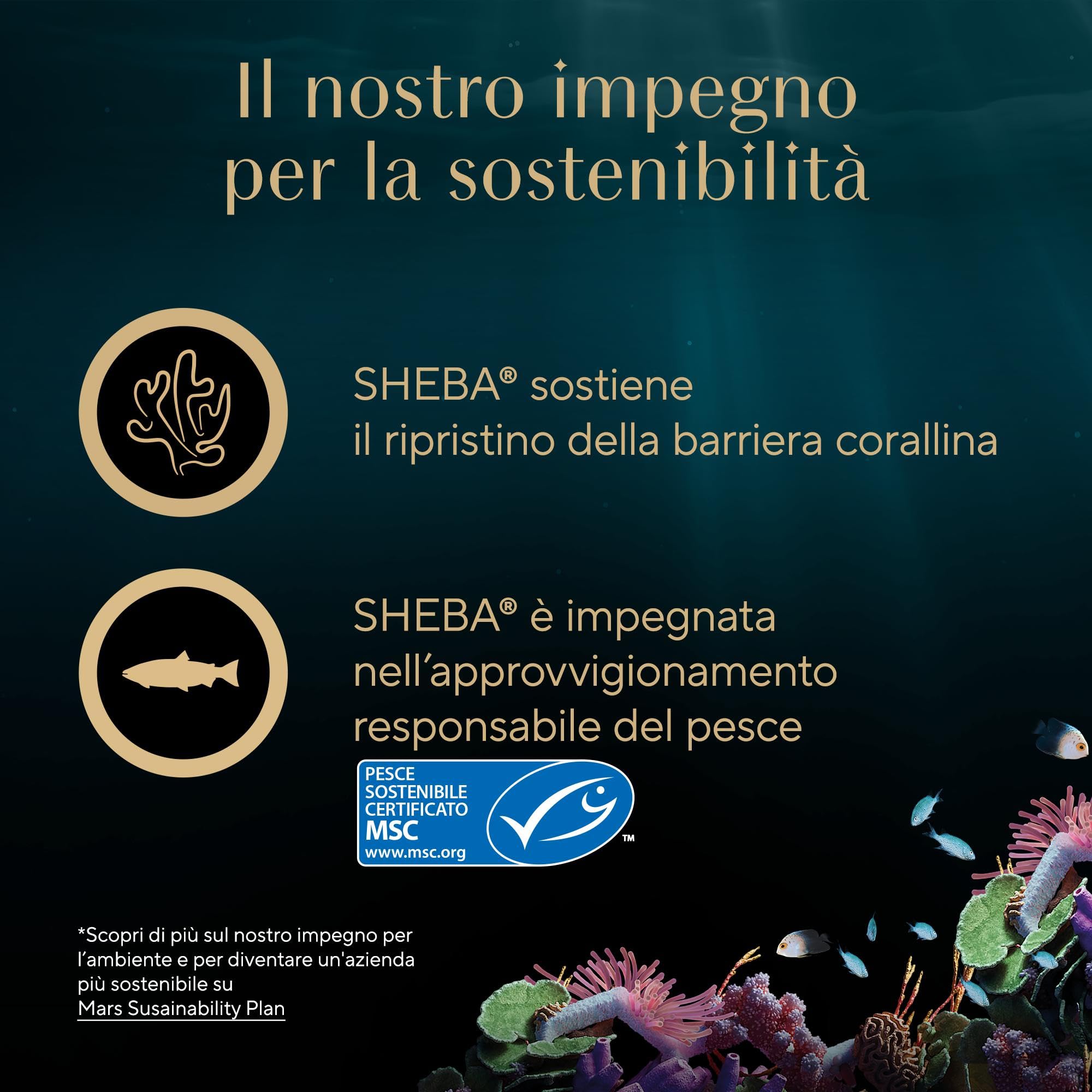 Cibo gatti adulti SHEBA Filets Pollo, Pesce Oceano, Gamberetti salsa, 32 Vaschette da 60g