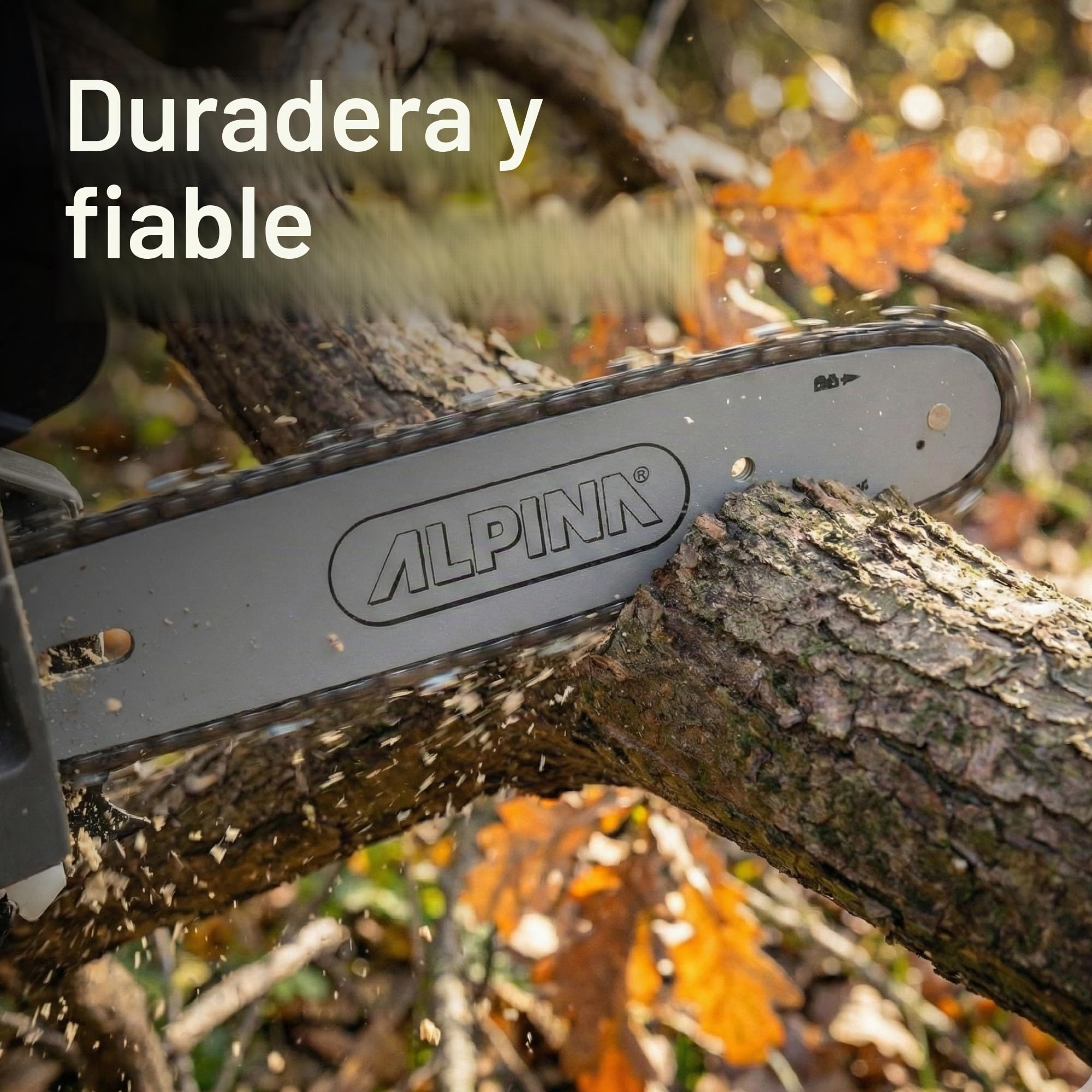 Alpina Motosierra de poda APR 25 (10)'', Para la corte de madera, Barra de corte 25 cm (10''), Motor de gasolina 25.4 cc, 900 W, Velocidad de la cadena 21 m/s, Bomba de aceite regulable