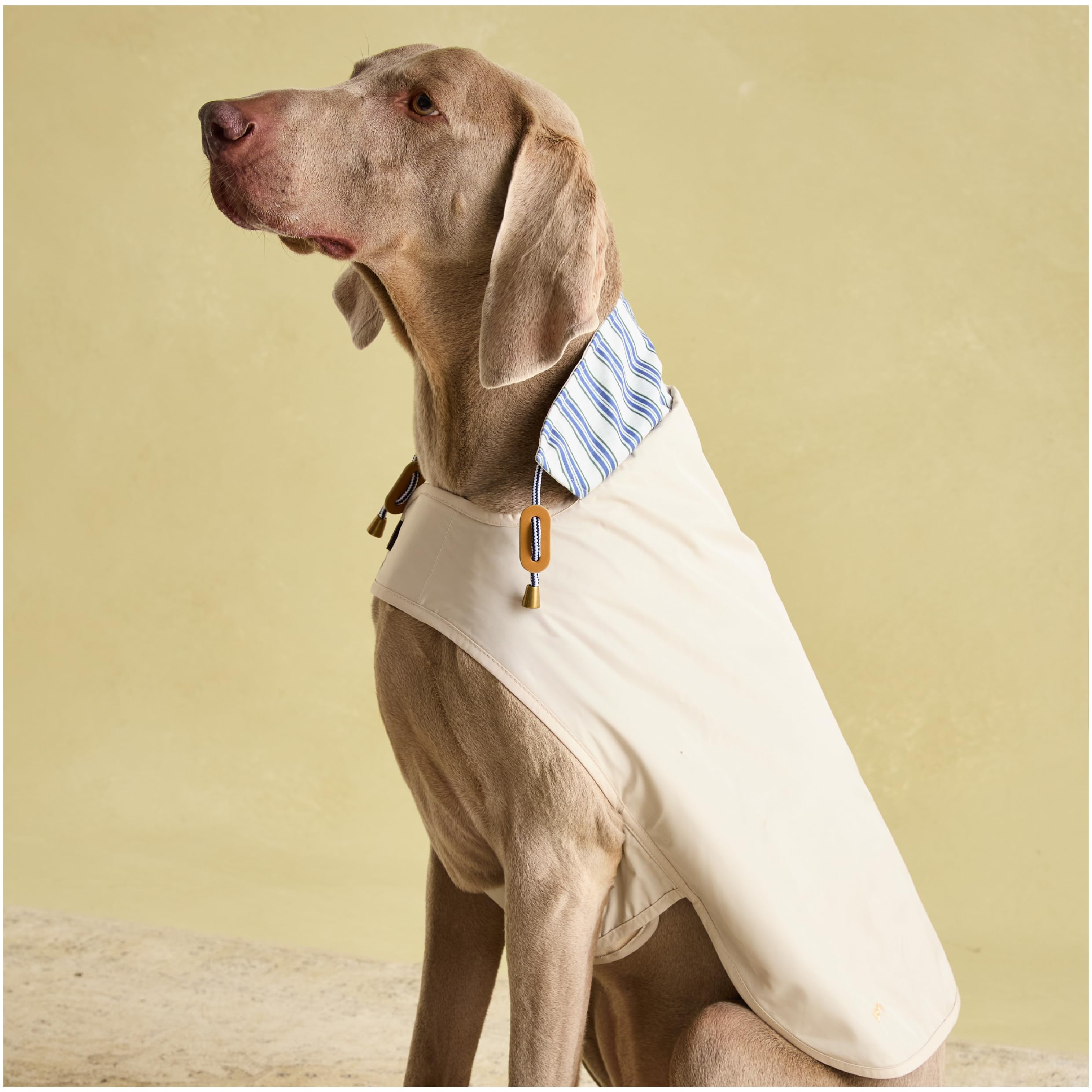 Rosewood x Joules Sandshell Raincoat for Dogs, Large, Washable, Lightweight, Water-Resistant Dog Coat for Large Dogs
