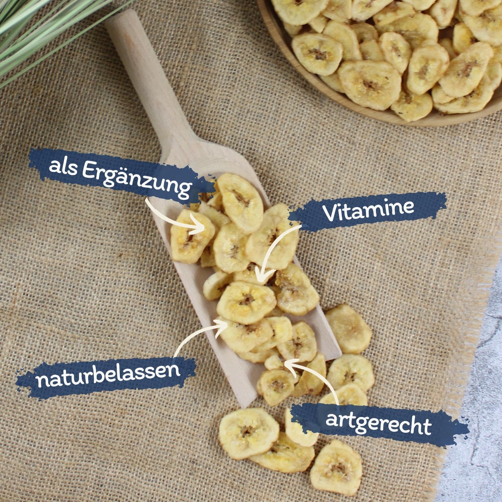 Lyra Pet® 5 kg Bananen getrocknet Futter für Pferde, Nager & Reptilien | Reich an Vitaminen & Ballaststoffen - Nährstoffreiches & natürliches Futter - Bananenscheiben ideal als Ergänzung
