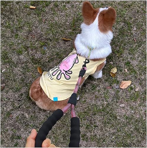 Miniatura 5 de BTINESFUL Correa corta de 18 pulgadas para entrenamiento de perros, mango de tráfico acolchado, correa de control de cuerda de nailon fuerte para