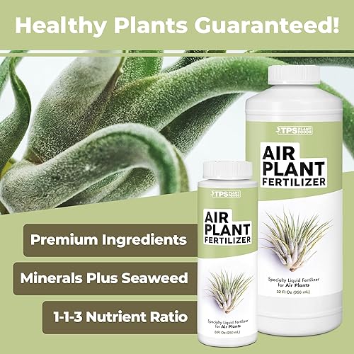 Miniatura 5 de Fertilizante para plantas de aire para todas las plantas de aire de Tillandsia, uso como aerosol foliar o para remojar, alimento líquido para