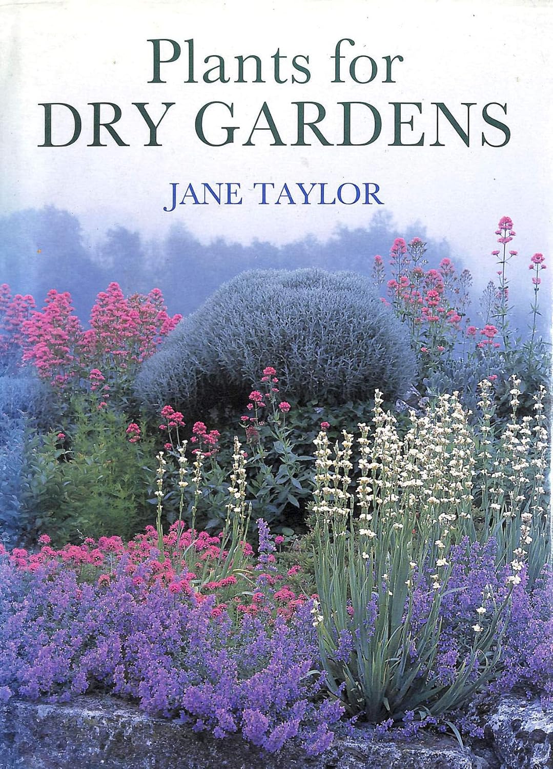 Plants for Dry Gardens: Beating the Drought      Hardcover – March 1, 1998