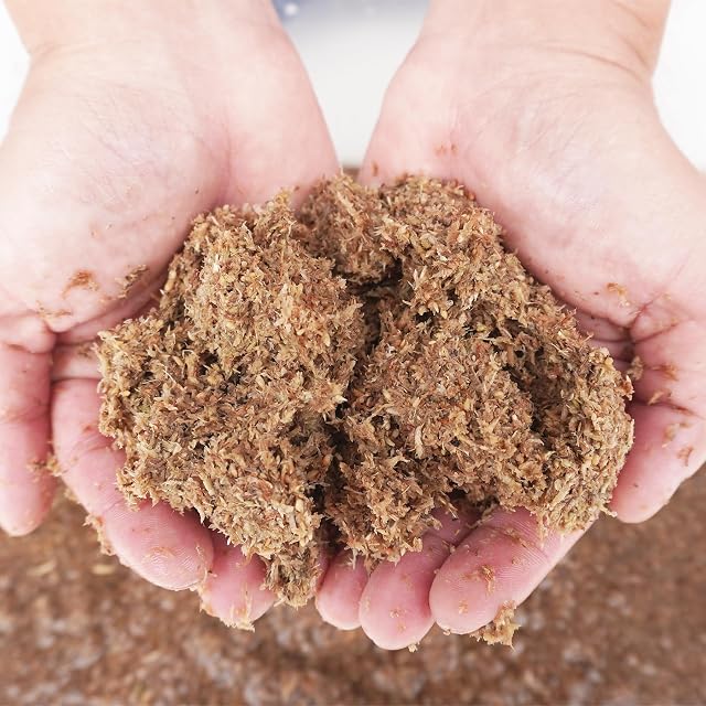 Foto 6 de 7 de Begeterday Sustrato natural de fibra de musgo Sphagnum para cangrejo ermitaño