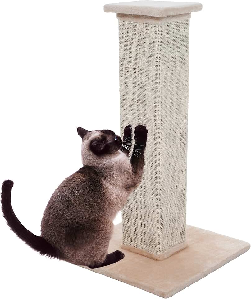 Когтеточка. Scratching post. Когтеточка для кошек. Когтеточка на стену. Когтеточка высокая.