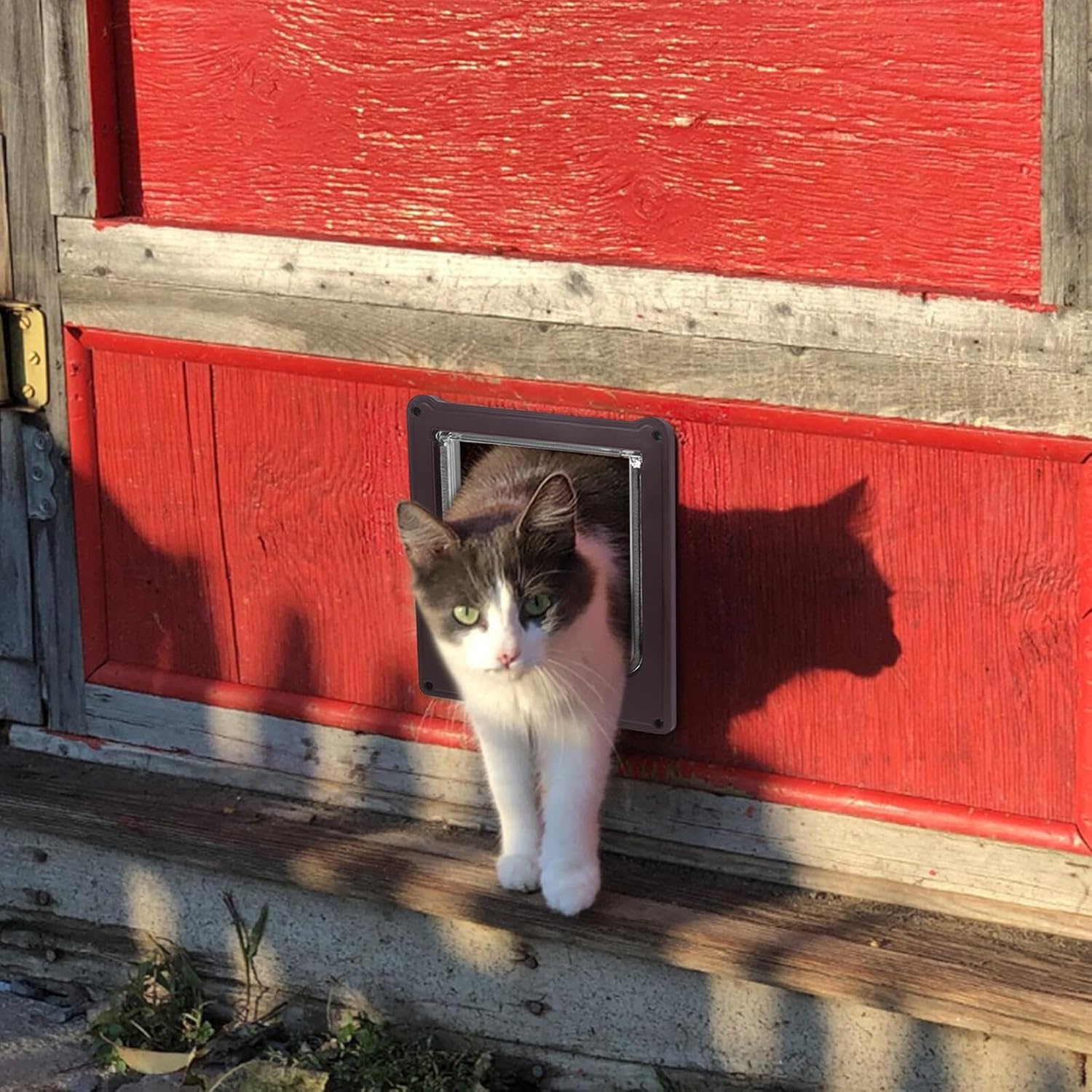 Large Abs 4-Way Locking Cat Door with Flap for Indoor and Outdoor Use, Weatherproof Pet Door Suitable for Cats and Small Dogs