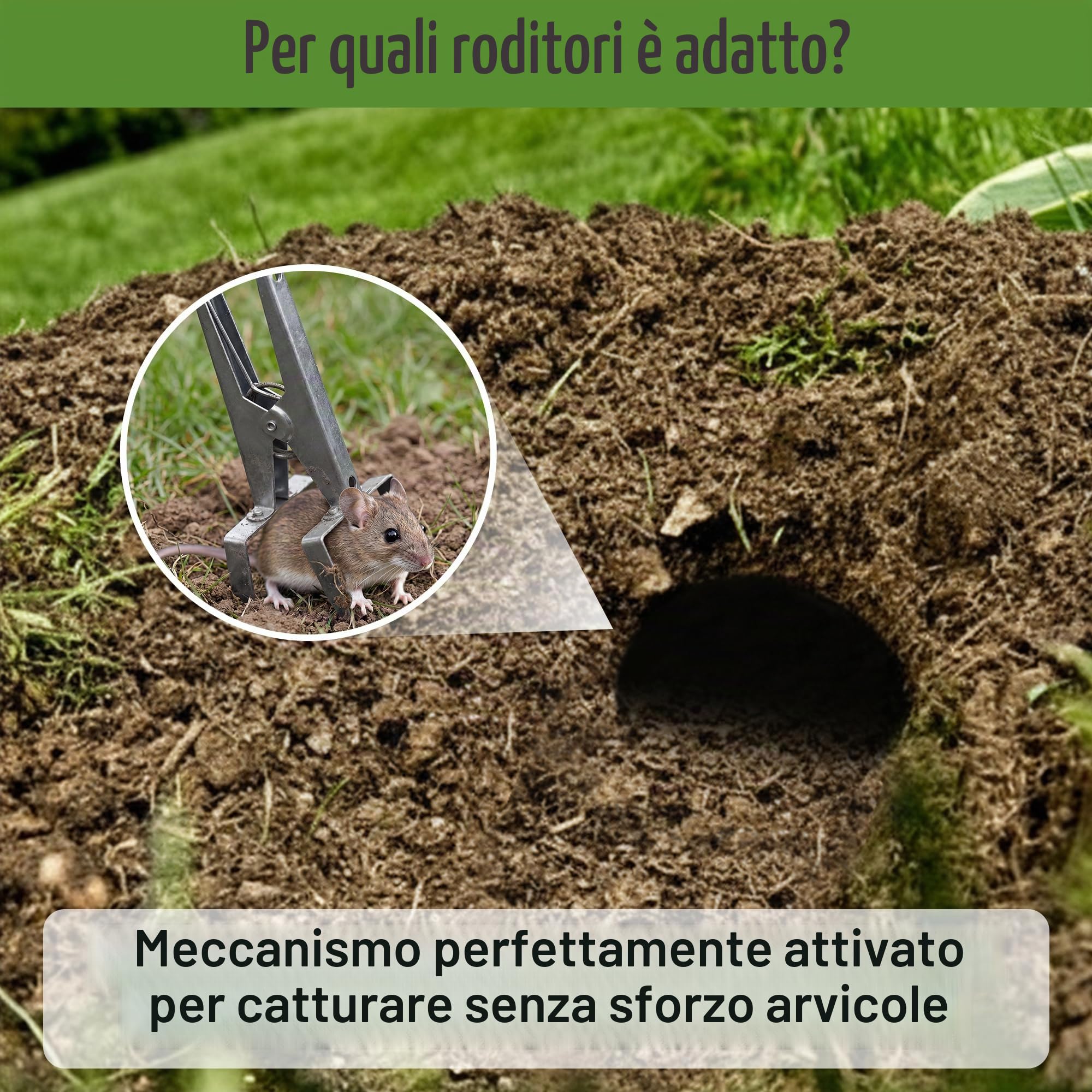 Enhon Trappola per Arvicole con Catena, 4 Pezzi - Affilata e Riutilizzabile - Trappola per Arvicole con Clip - Cattura su Entrambi i Lati | Efficace Trappola per Topo Campagnolo per Giardino e Prato