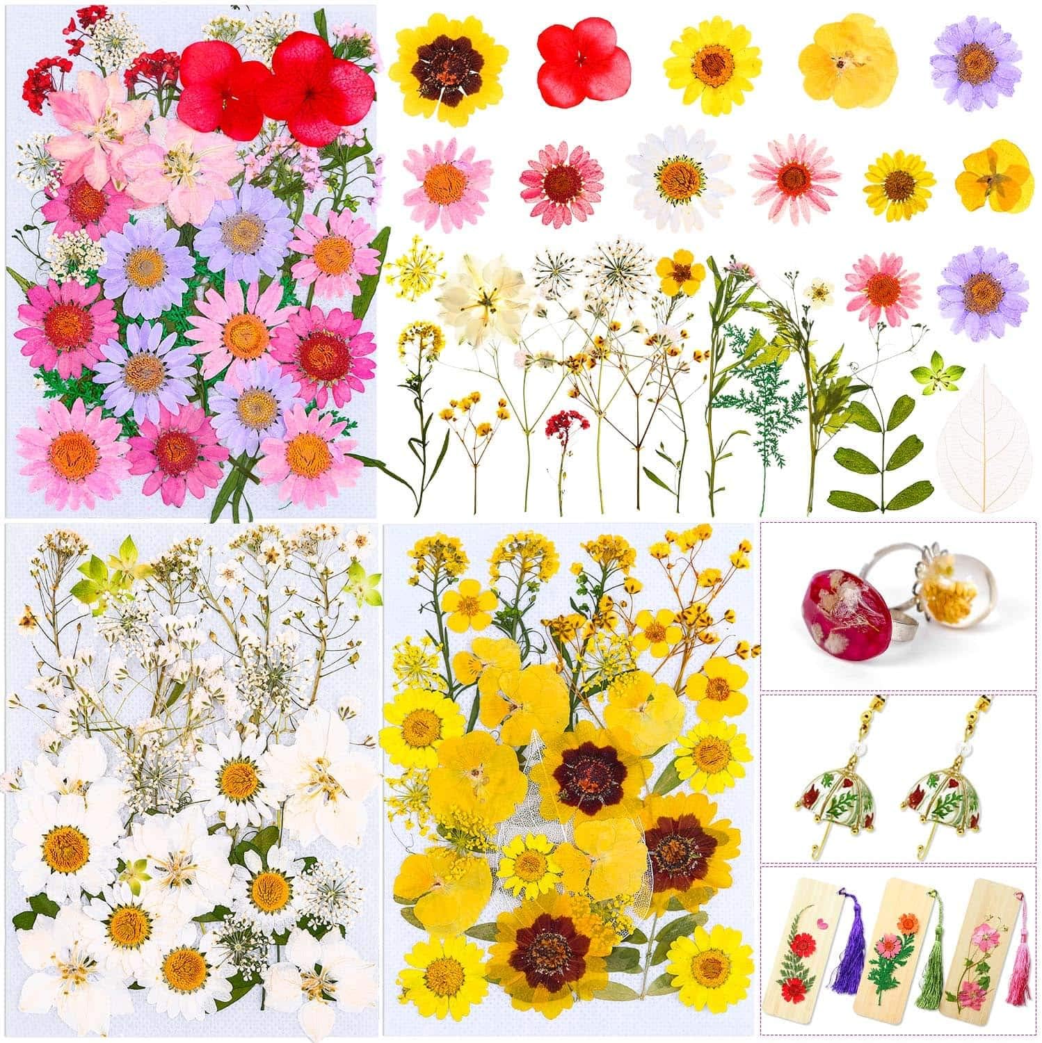 Dried Pressed Flowers for Card Making, Thrilez 100Pcs Real