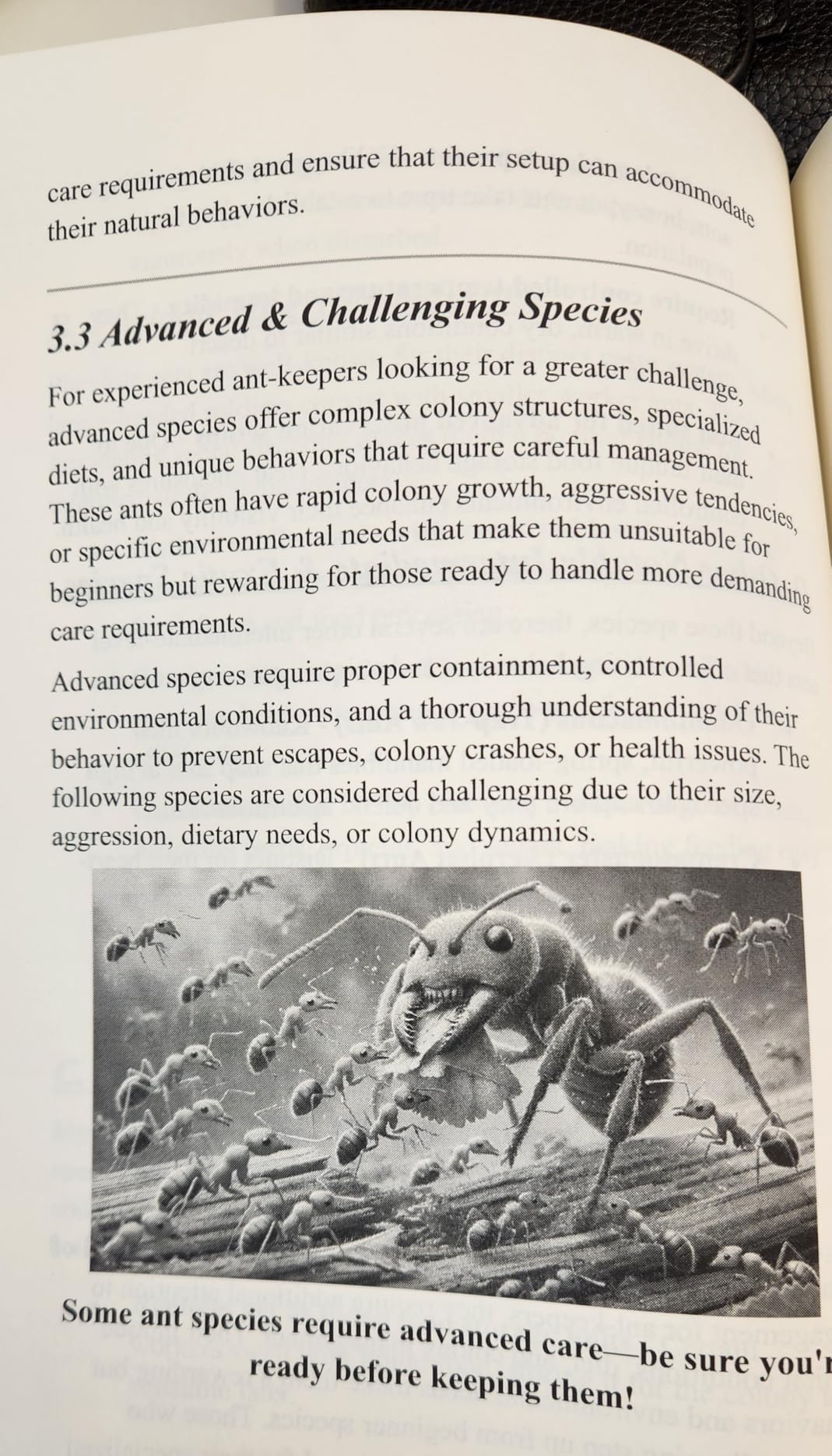 HowExpert Guide to Ant Farming: The Ultimate Handbook for Starting Ant ...