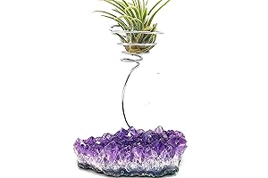 XL Amethyst Crystal Air Plant Holder: Unique Decor & Healing Vibes