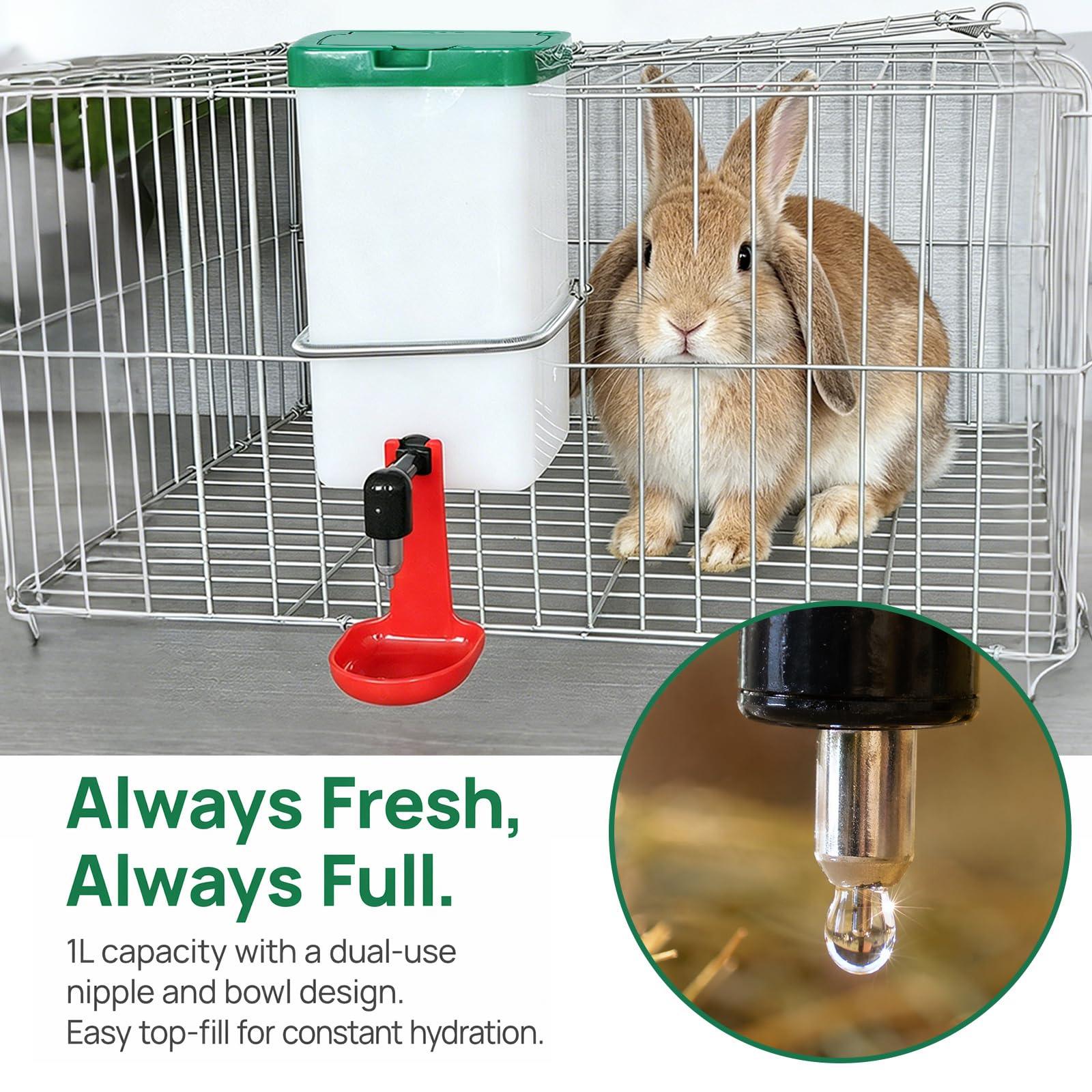 Lot de 3 abreuvoirs pour lapins - 1000 ml - Distributeur d'eau automatique à suspendre - Bouteille d'eau pour animaux de compagnie - Sans goutte - Pour rongeurs, petits animaux