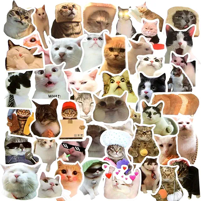 Lot de 50 autocollants chat Kawaii imperméables - Stickers chat