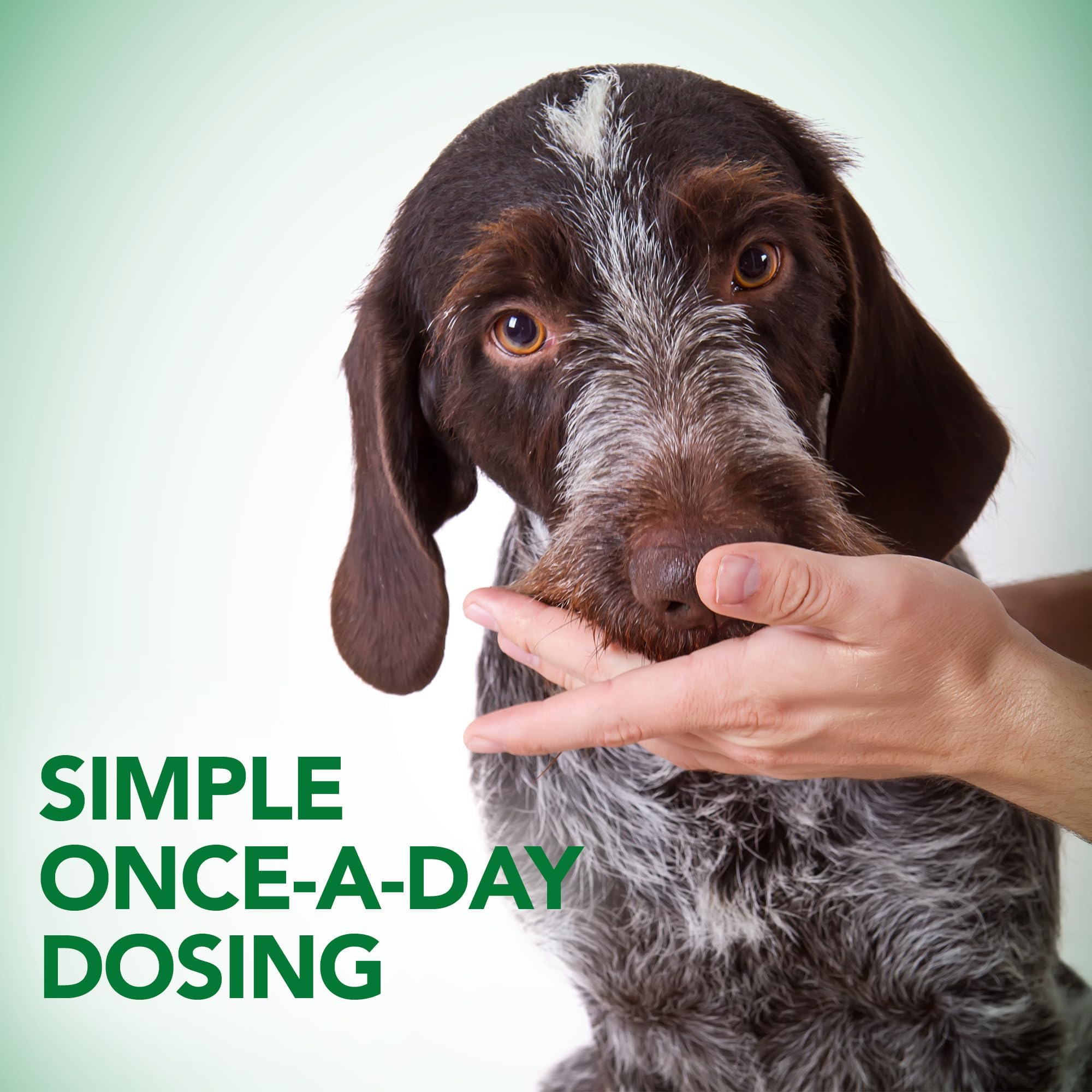 THE BRAMTON COMPANY Vet's Best Soft Chews-Probiotic