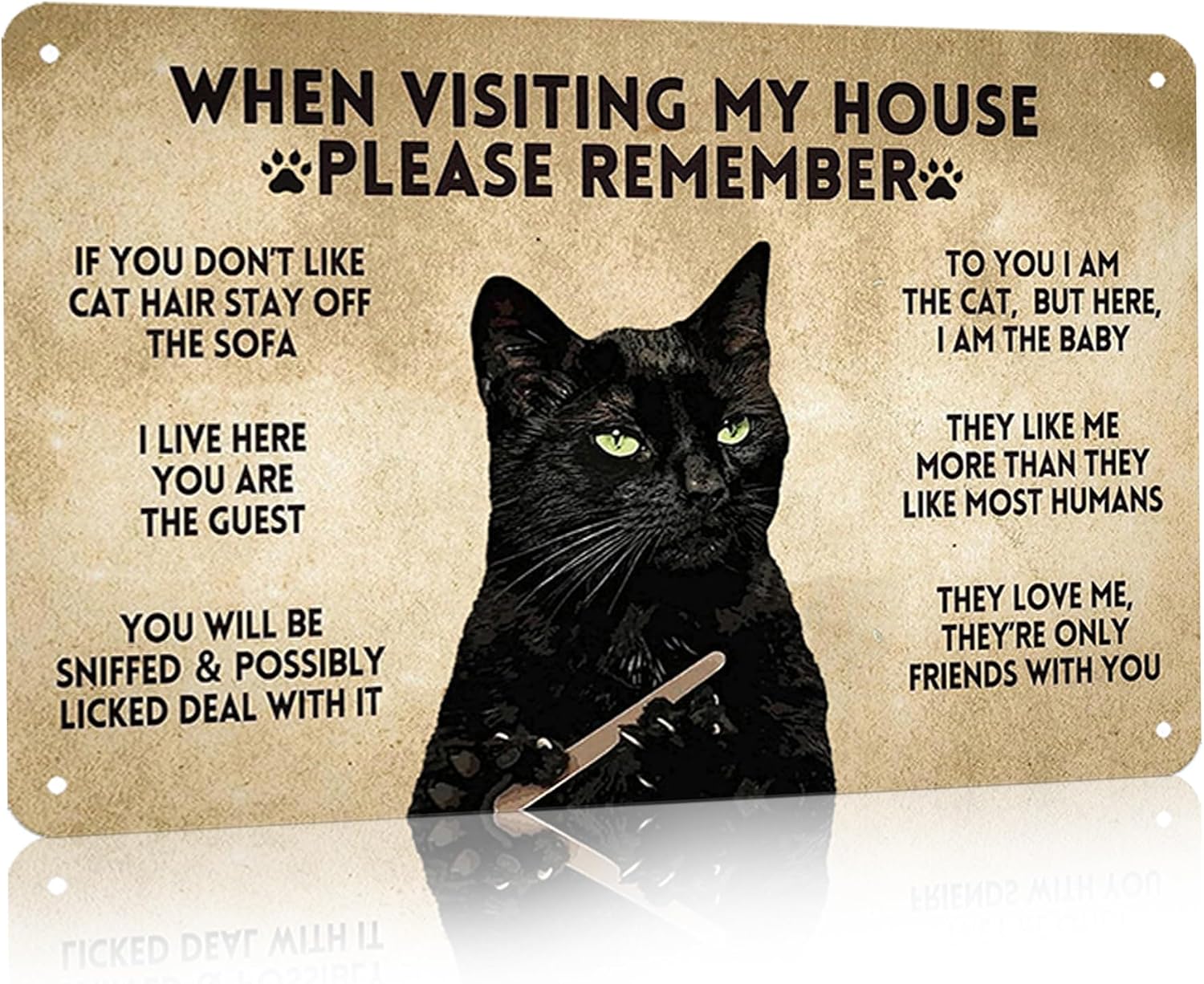 CrazySign Funny Black Cat Vintage Metal Sign When Visiting My House Please Remember Sign for Home Living Room Bedroom Cat House Wall Decor 8 x 12 Inch (3005)