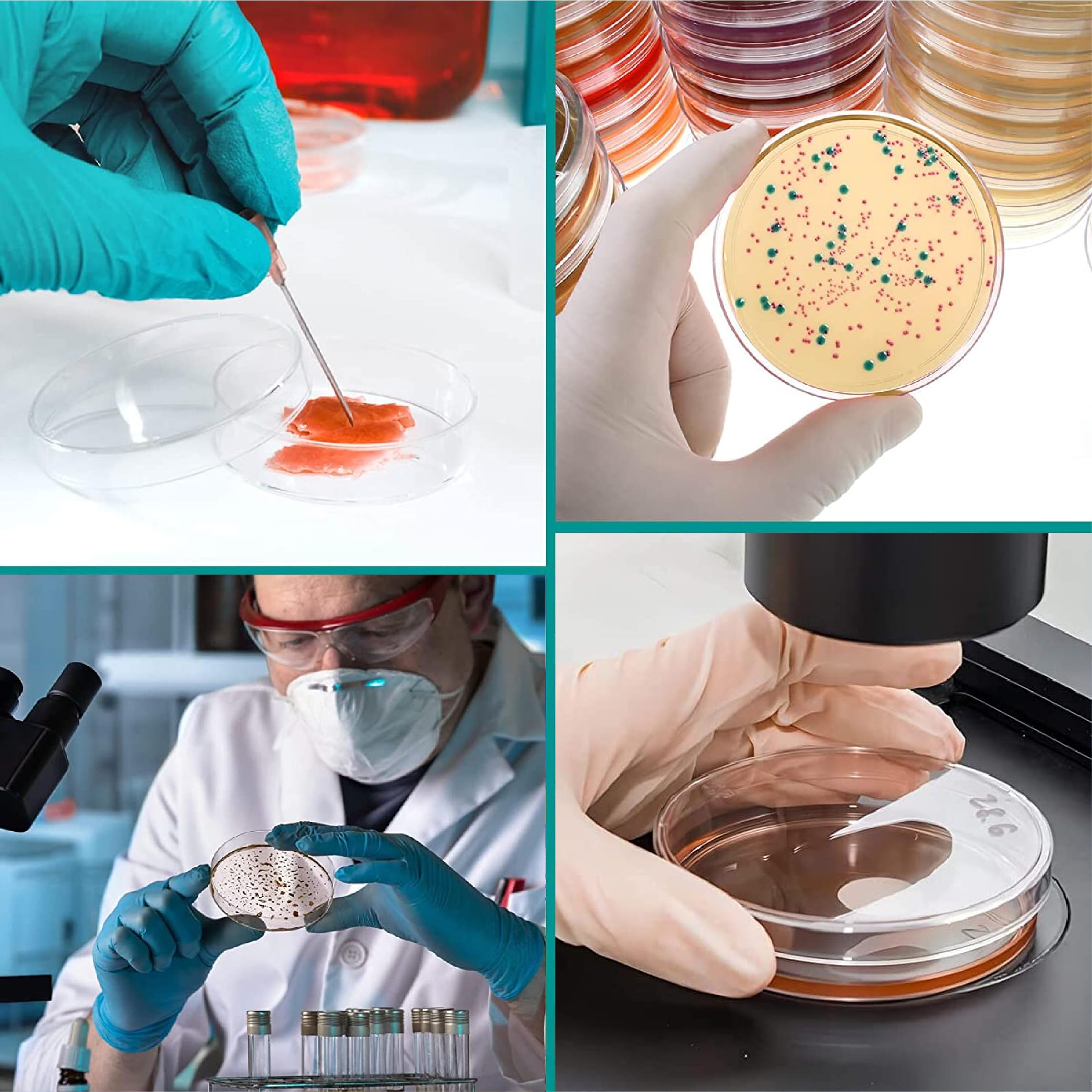 6 Pezzi Piastra di Petri, Piastra di Petri Plastica, Piatti Petri 70mm, Piastre Di Petri In Plastica Sterile con Coperchio, Con 10pzs 1ml Pipette In Plastica, Per Cultura Laboratorio Lievito Batterico