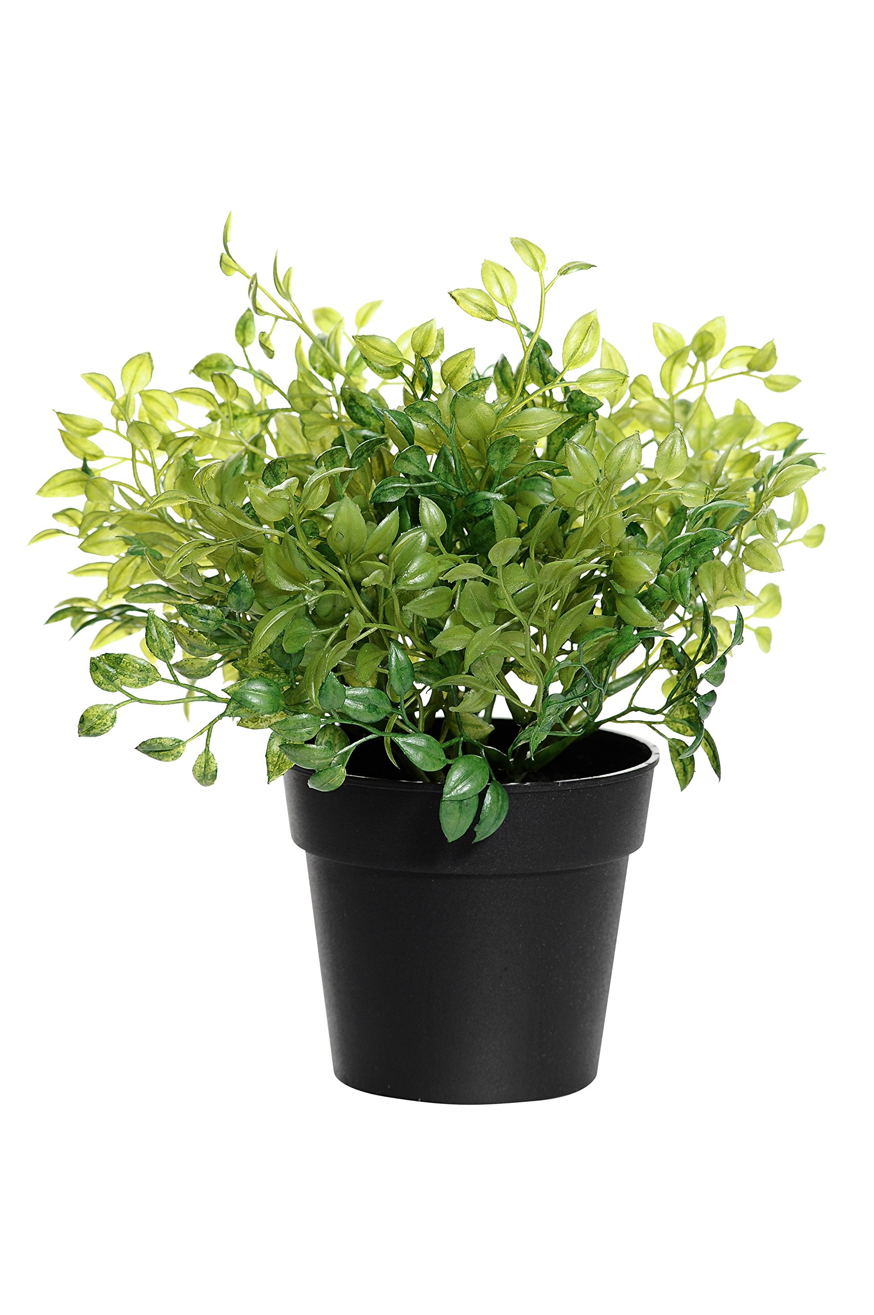 CB Imports Artificial Potted Oregano, Green