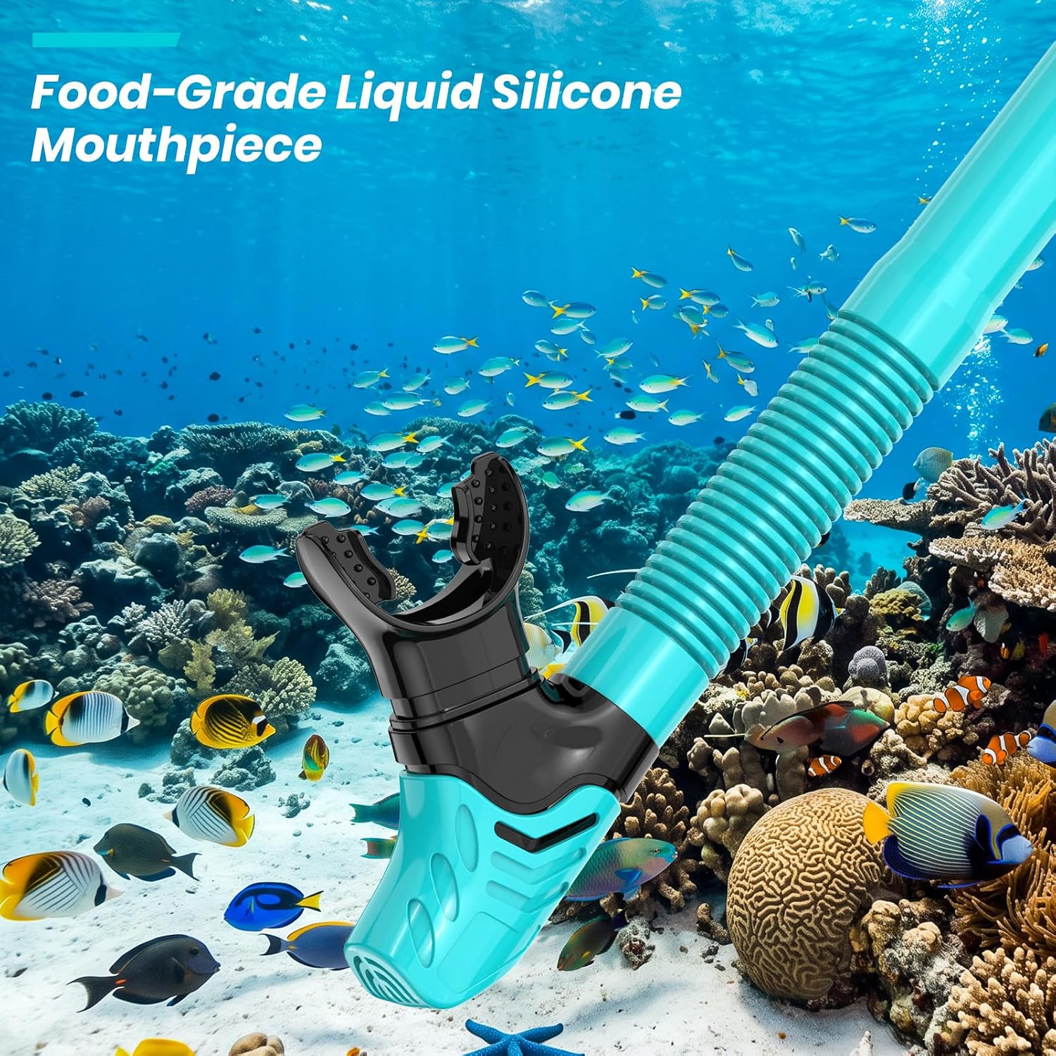 Dry Snorkel for Adults, Foldable Snorkel with Dry Top Valve & Purge Valve
