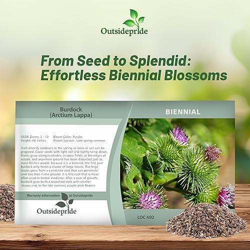 Miniatura 5 de Outsidepride Bardock Arctium Lappa - Planta nutritiva de verduras y hierbas - 1000 semillas