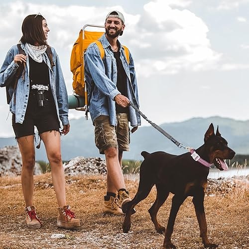 Miniatura 31 de Auroth Collar de perro Airtag, soporte ajustable para AirTag para perros medianos y grandes, soporte para collar de perro Airtag con anillo en D