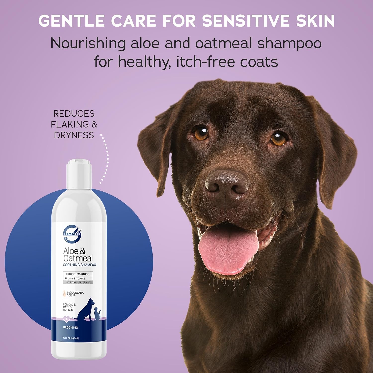 Stratford Aloe & Oatmeal Shampoo for Pets - Piña Colada Scent - 12oz image 5