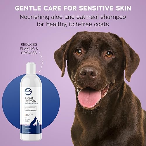 Miniatura 5 de Stratford Pharmaceuticals Champú de avena - Sin jabón, alivia la piel sensible con aloe para la piel seca con picazón para perros y gatos, 12 onzas