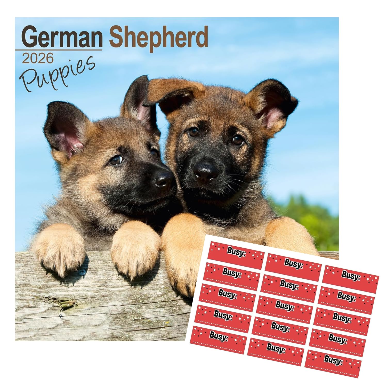 Avonside German Shepherd Puppies 2027 Calendar with Organisational Stickers, 16 Month Square Wall Calendar (Sept 2026 - Dec 2027), UK Planner for Dog Lovers, For Home or Office, 11.6 x 11.6 in