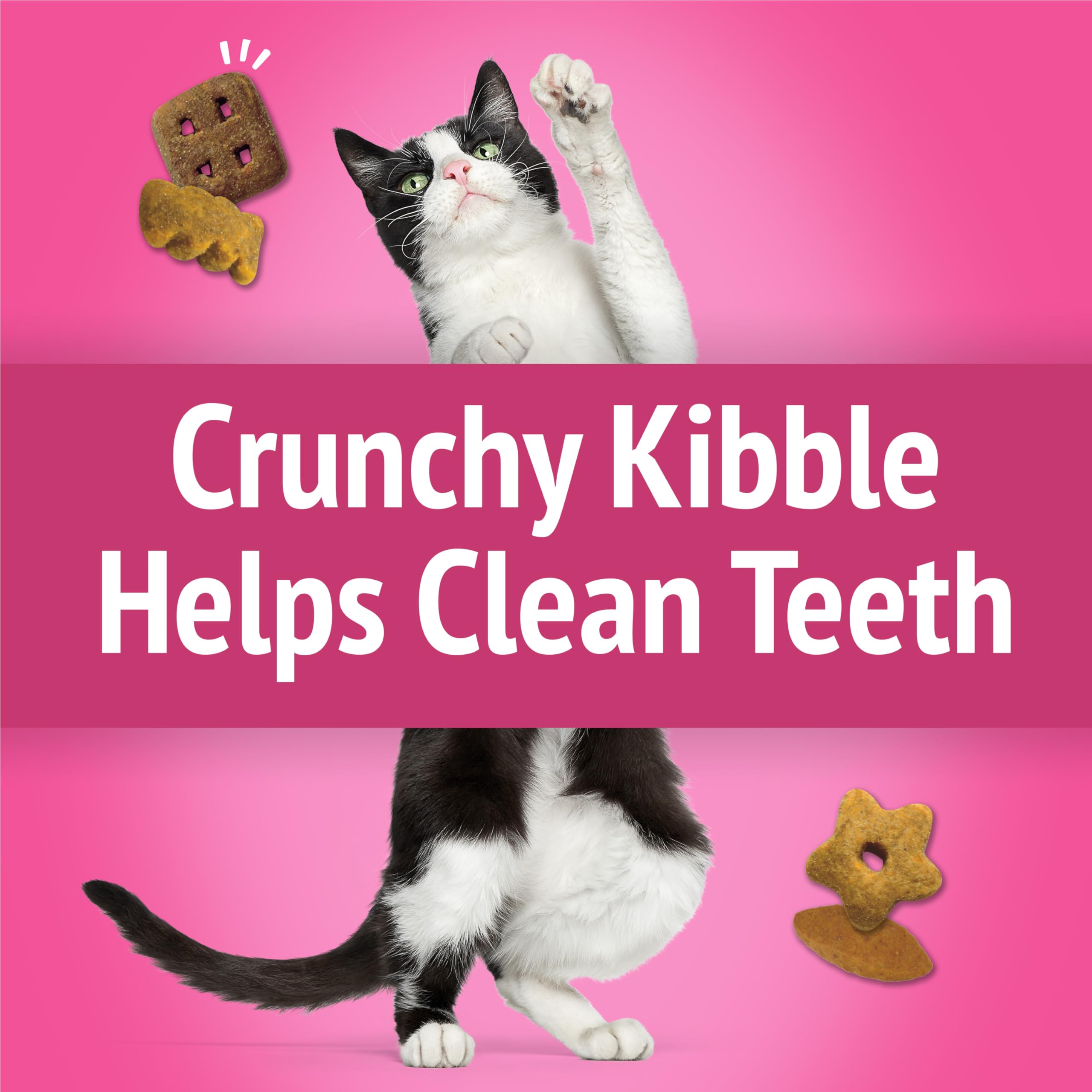 Purina Friskies Party Mix California Crunch with Chicken and Flavors of Turkey and Bacon Cat Treats - 30 oz Canister - 5