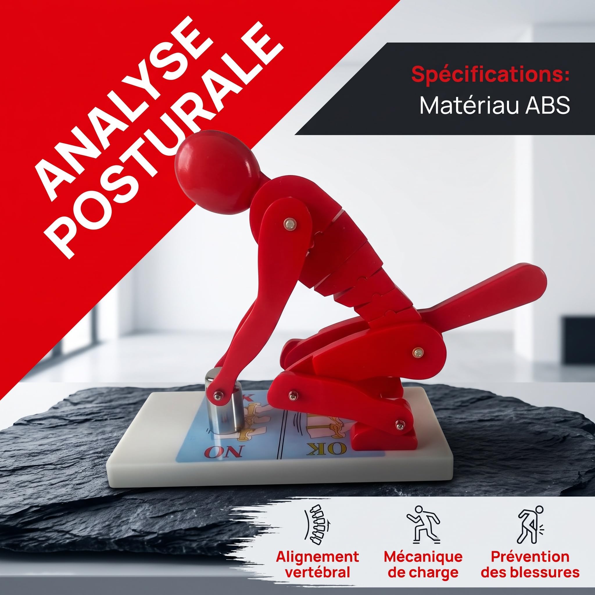 Modèle Biomécanique Levage Base Stable Modèle Posture Port Objet Résistant à Chocs Maquette Démonstration Posture Levage Matériel Pédagogique pour Instructeur Sportifs, Rouge