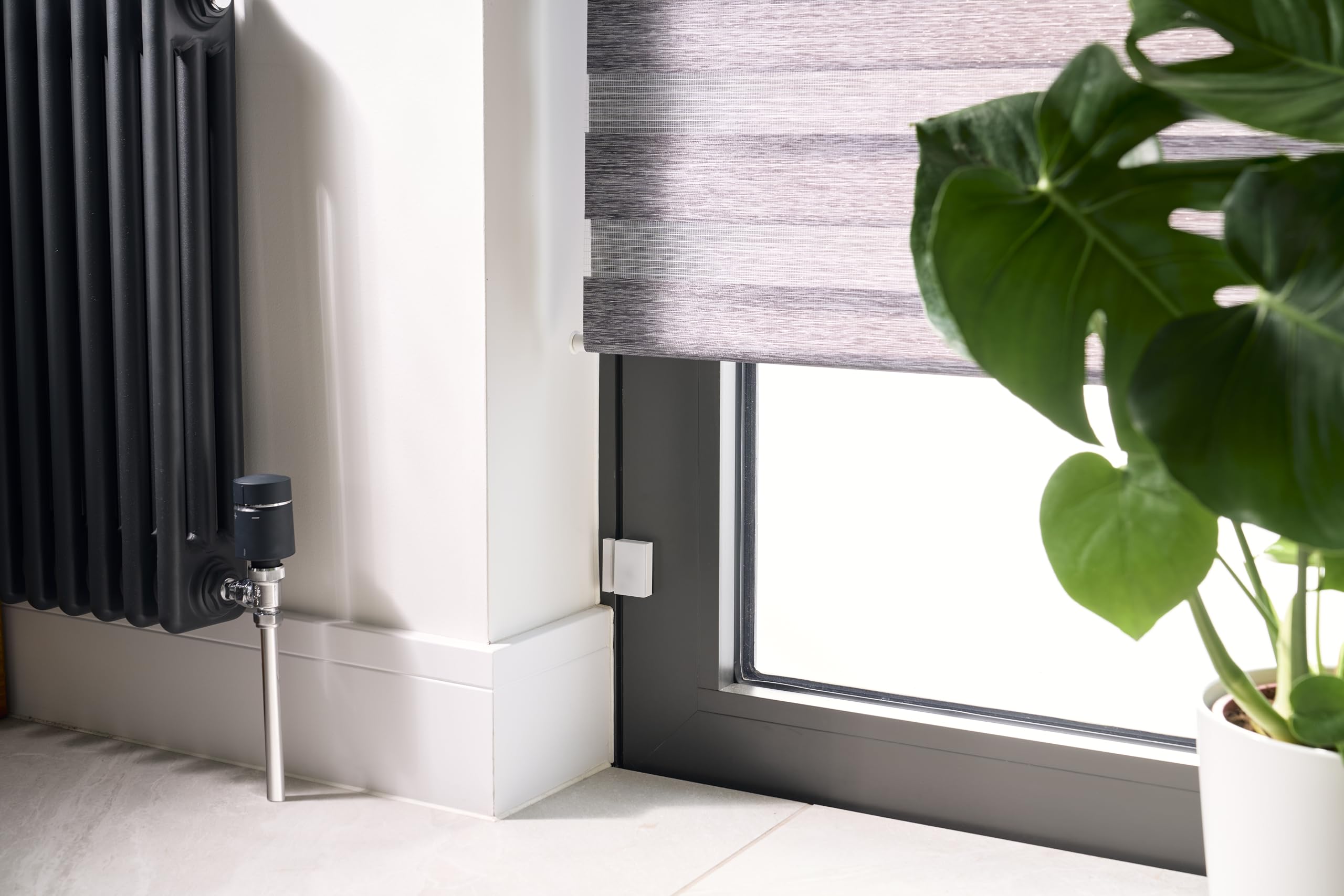 Schneider Electric Wiser Fenster-/Türsensor, Steuerung per App oder manuell, Zigbee, über Hub kompatibel mit Matter, Alexa, Google, Apple, Artikelnummer CCT591012